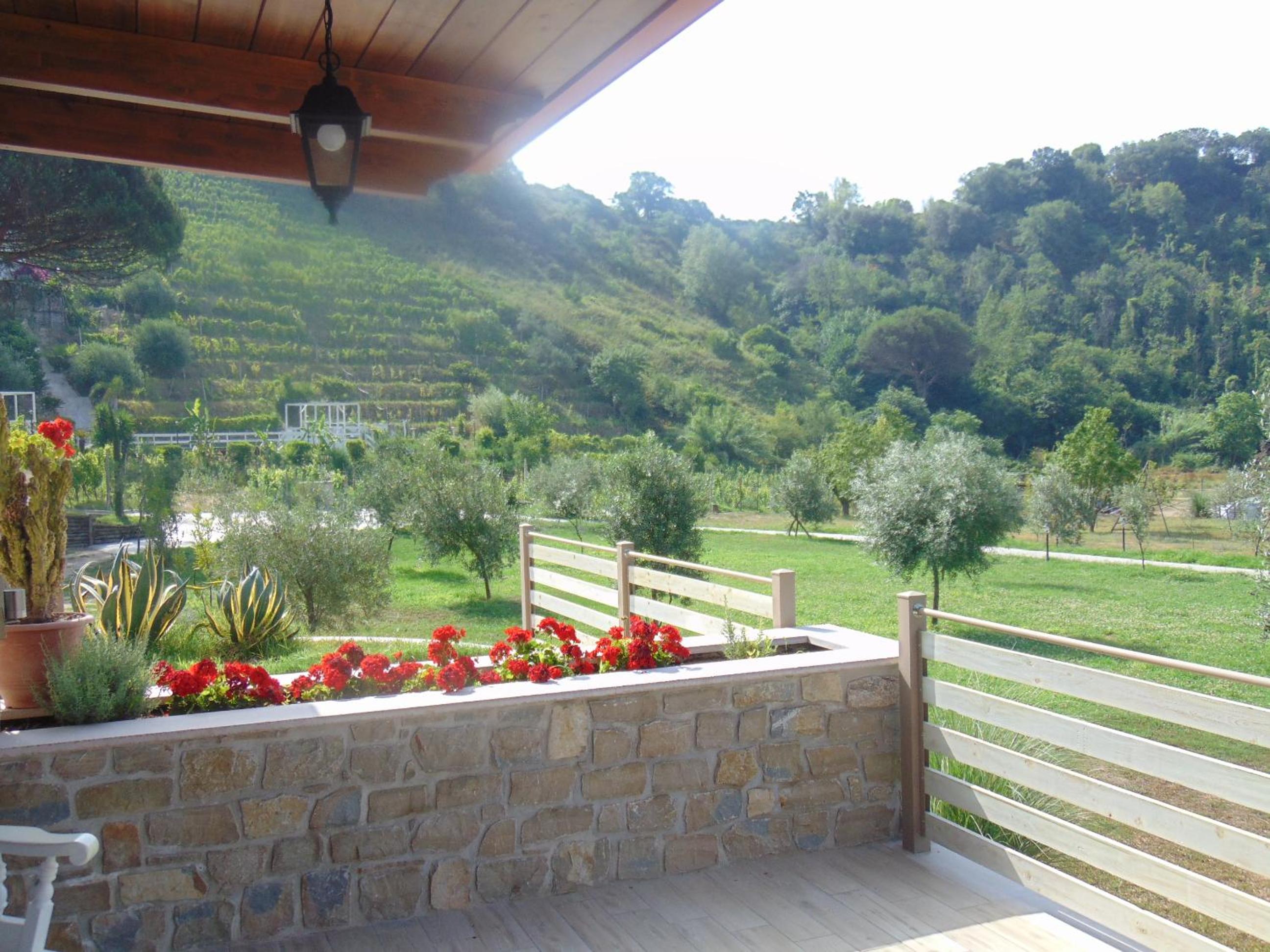 King Room with Garden View - Photo 13
