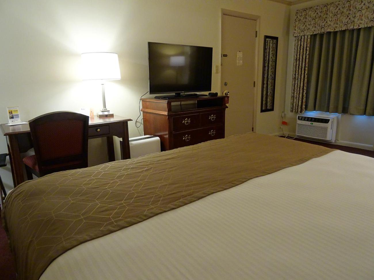 King Room photo 2