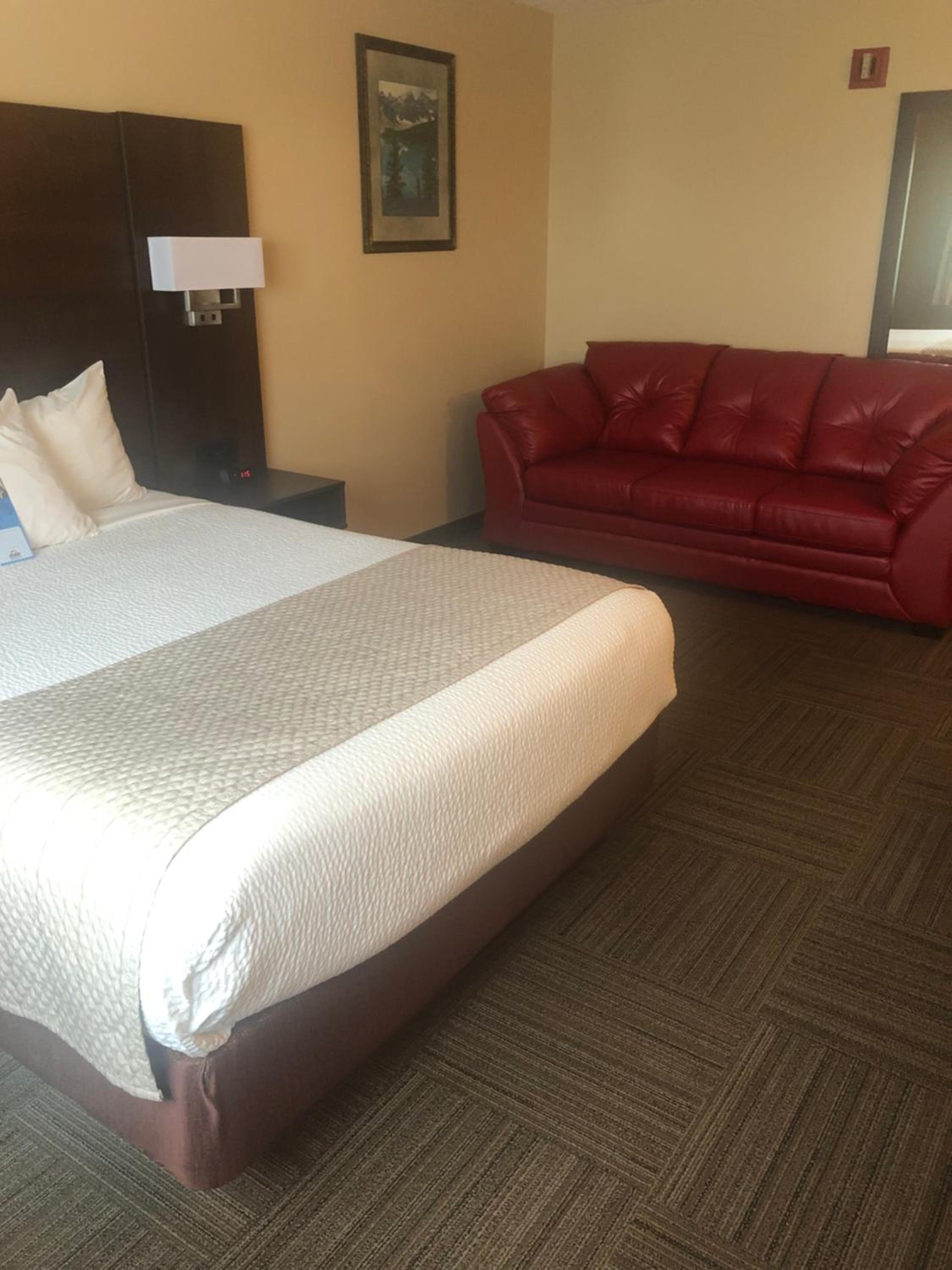 Queen Room - Non-Smoking - Not Pet Friendly - Photo 2