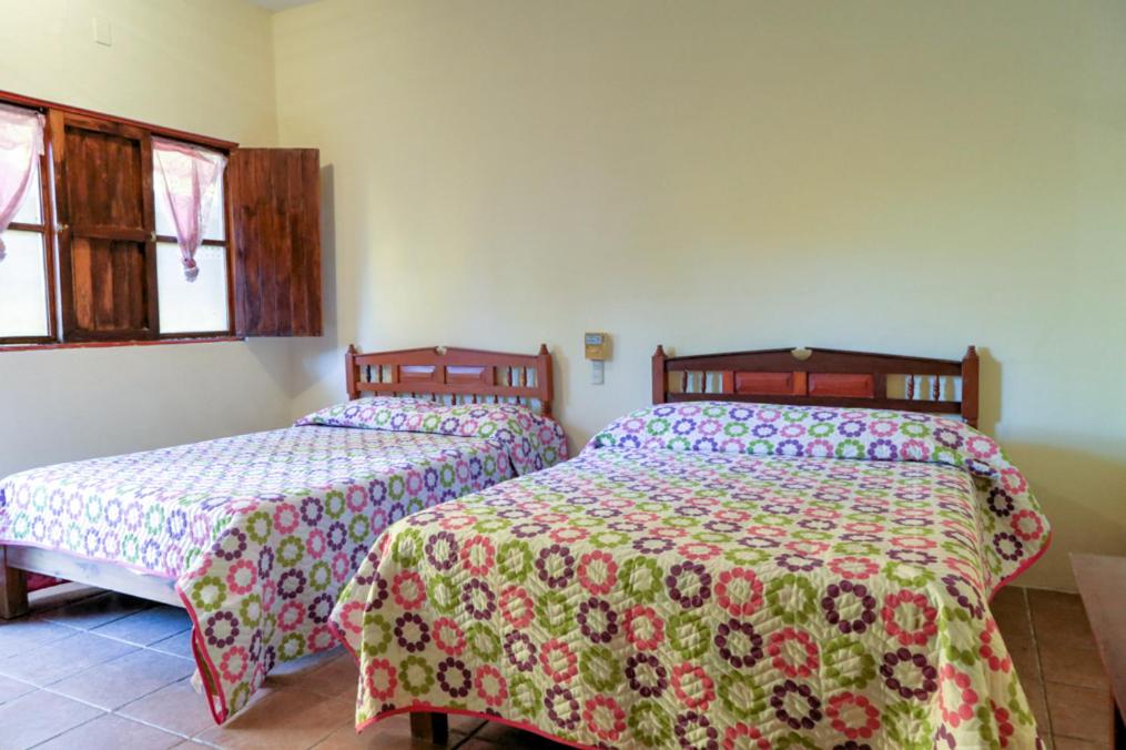 Twin Room - Photo 1