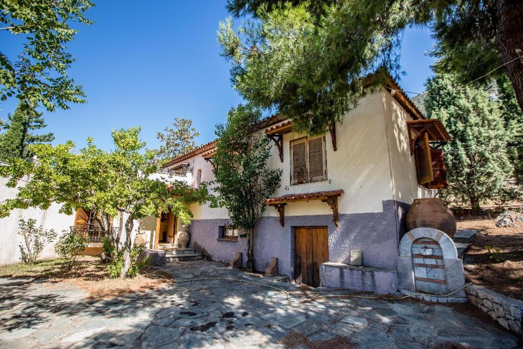 Villa - Photo 44