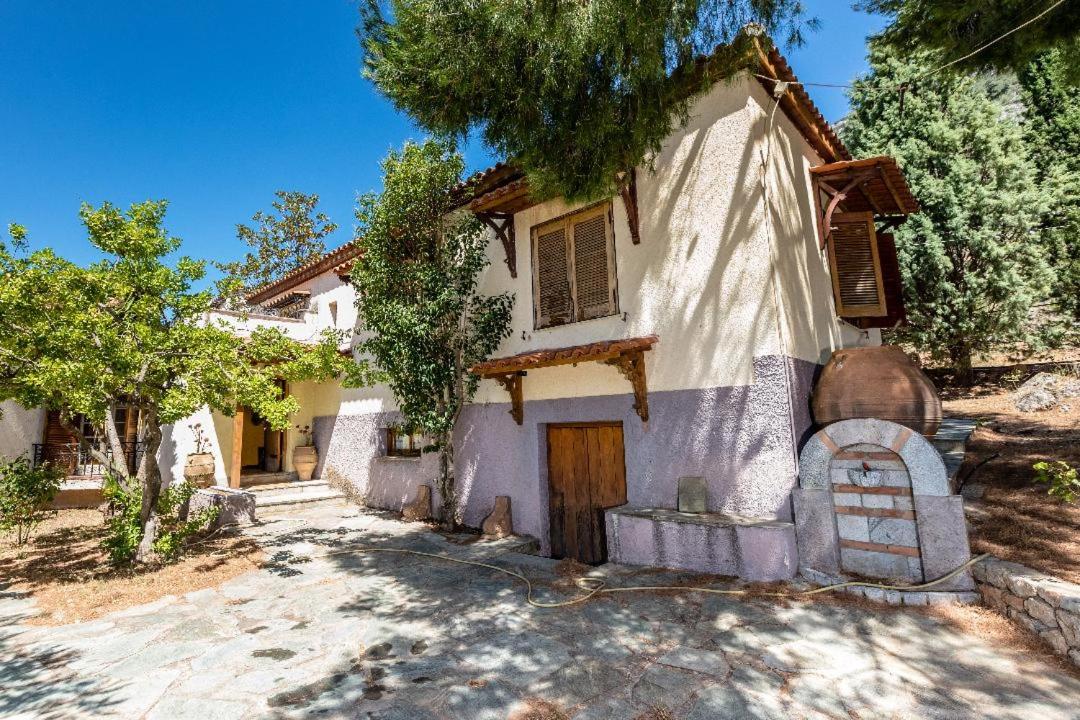 Villa - Photo 43