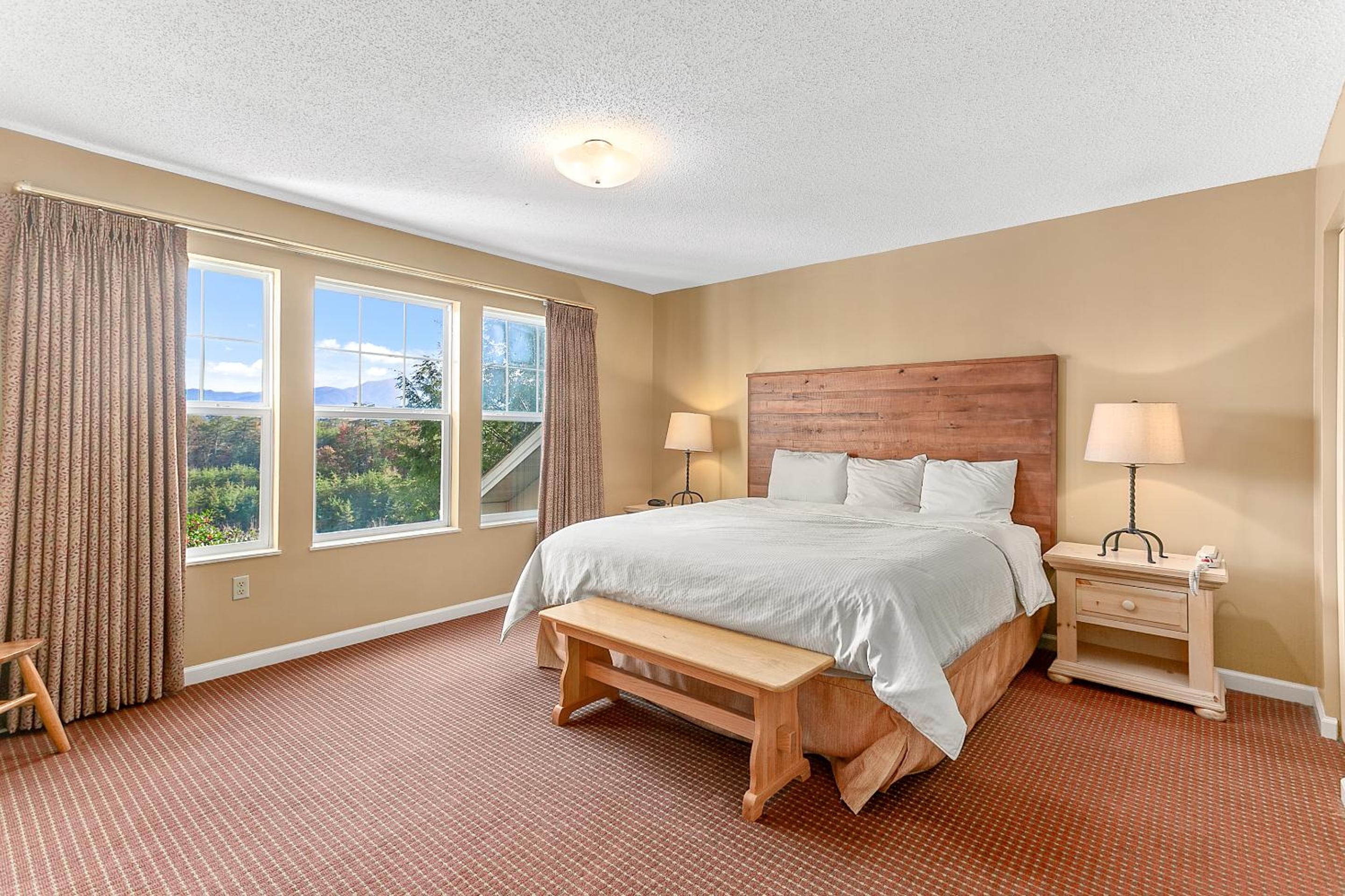 Suite with Mountain View