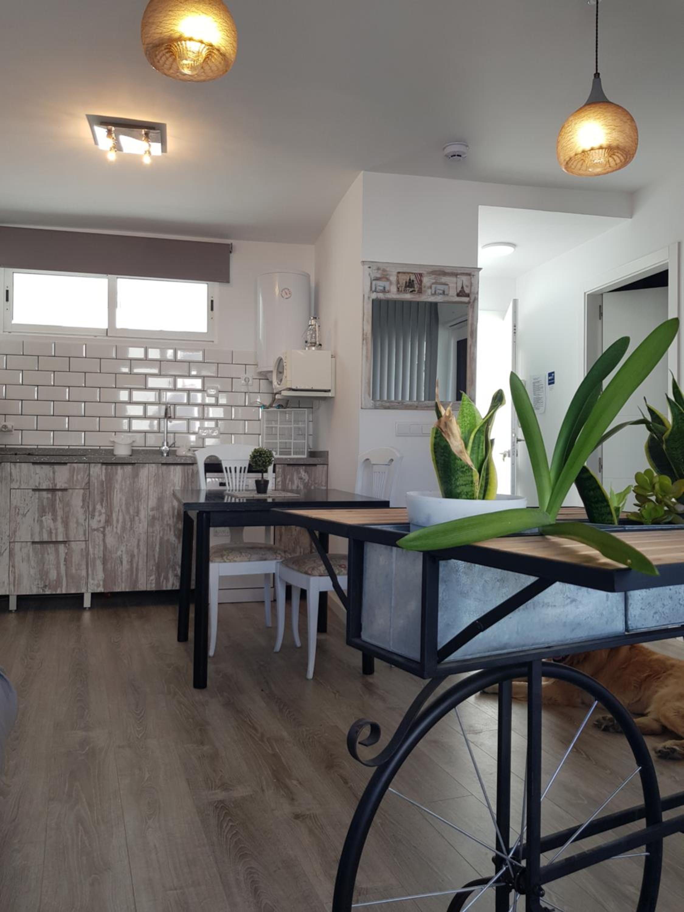 Apartment with Terrace - Photo 26