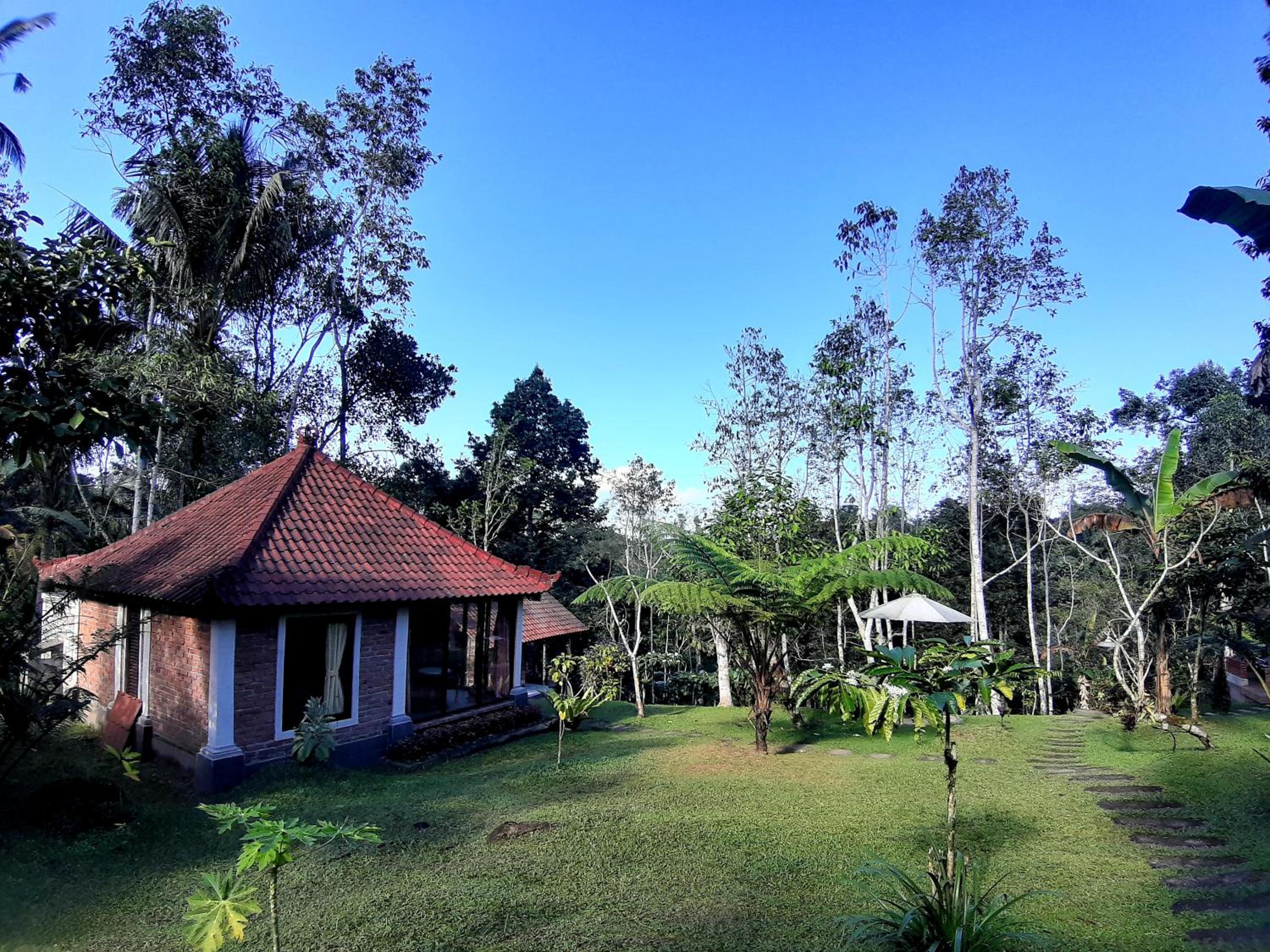 Deluxe Bungalow with Garden View - Photo 10