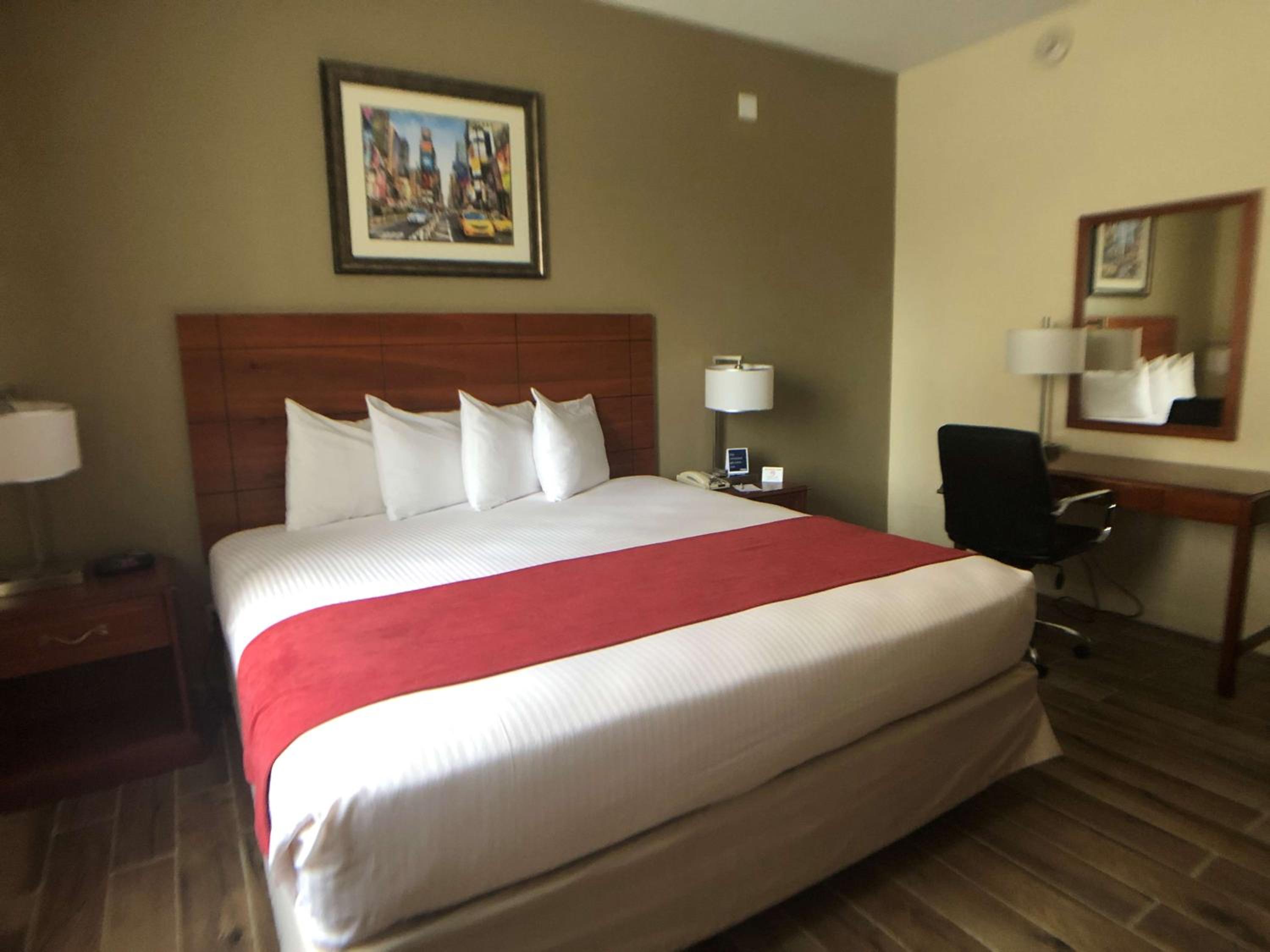 King Room - Photo 2