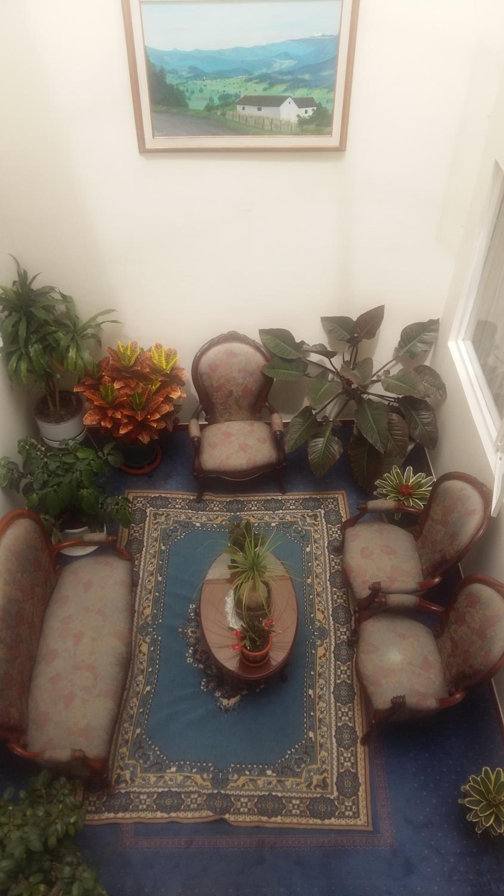 Single Room photo 2