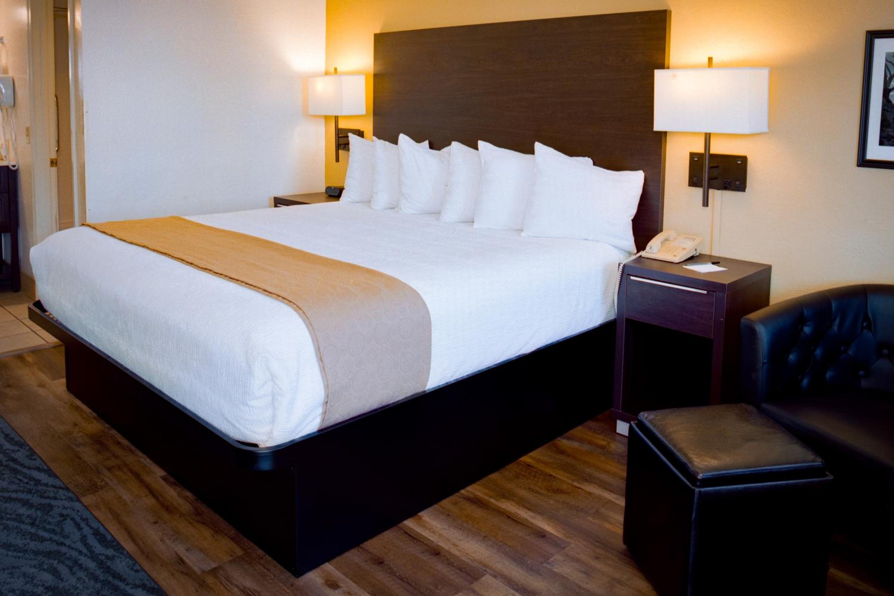 King Room photo 1