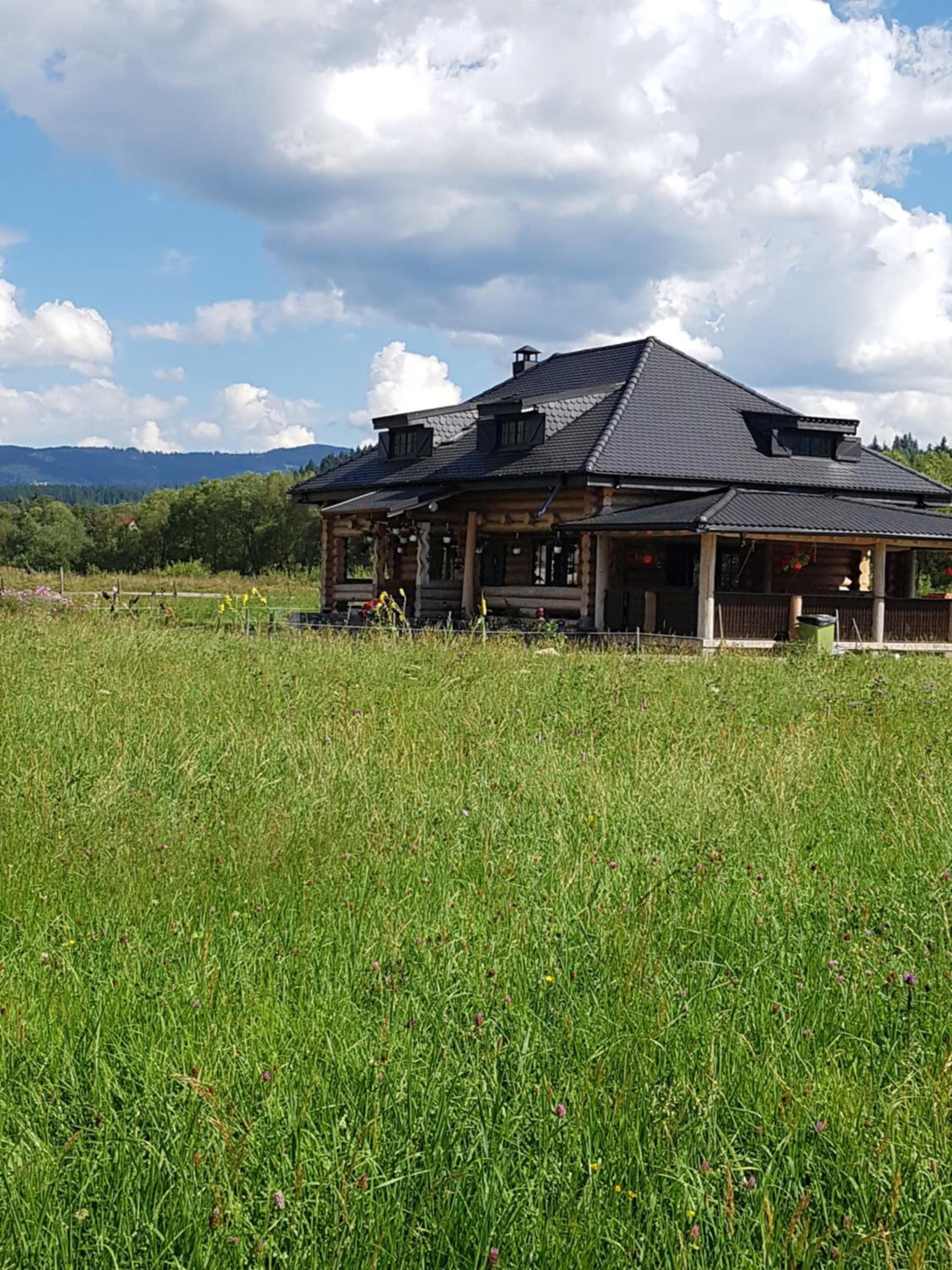 Superior Chalet photo 2