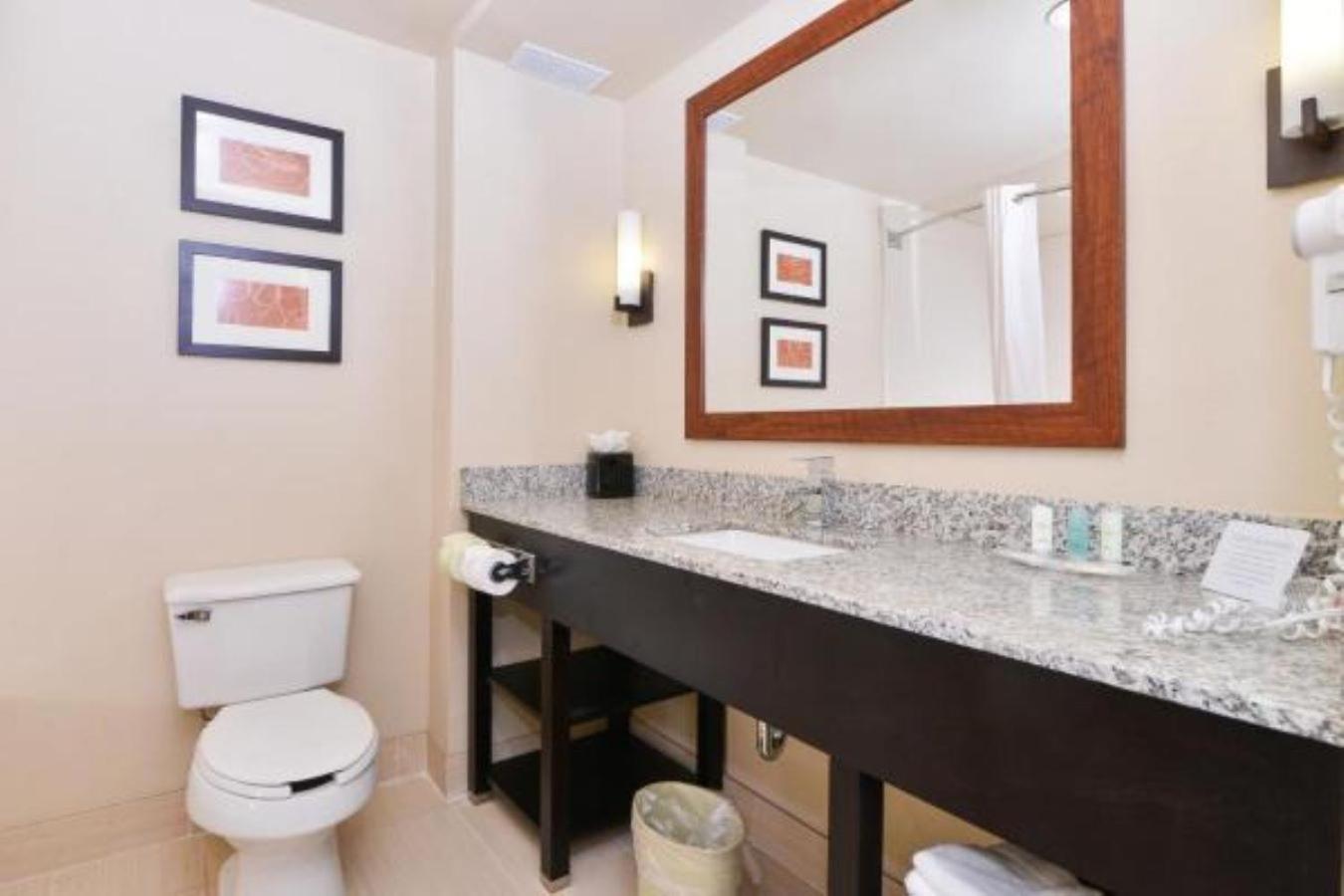 King Suite - Non-Smoking - Photo 9