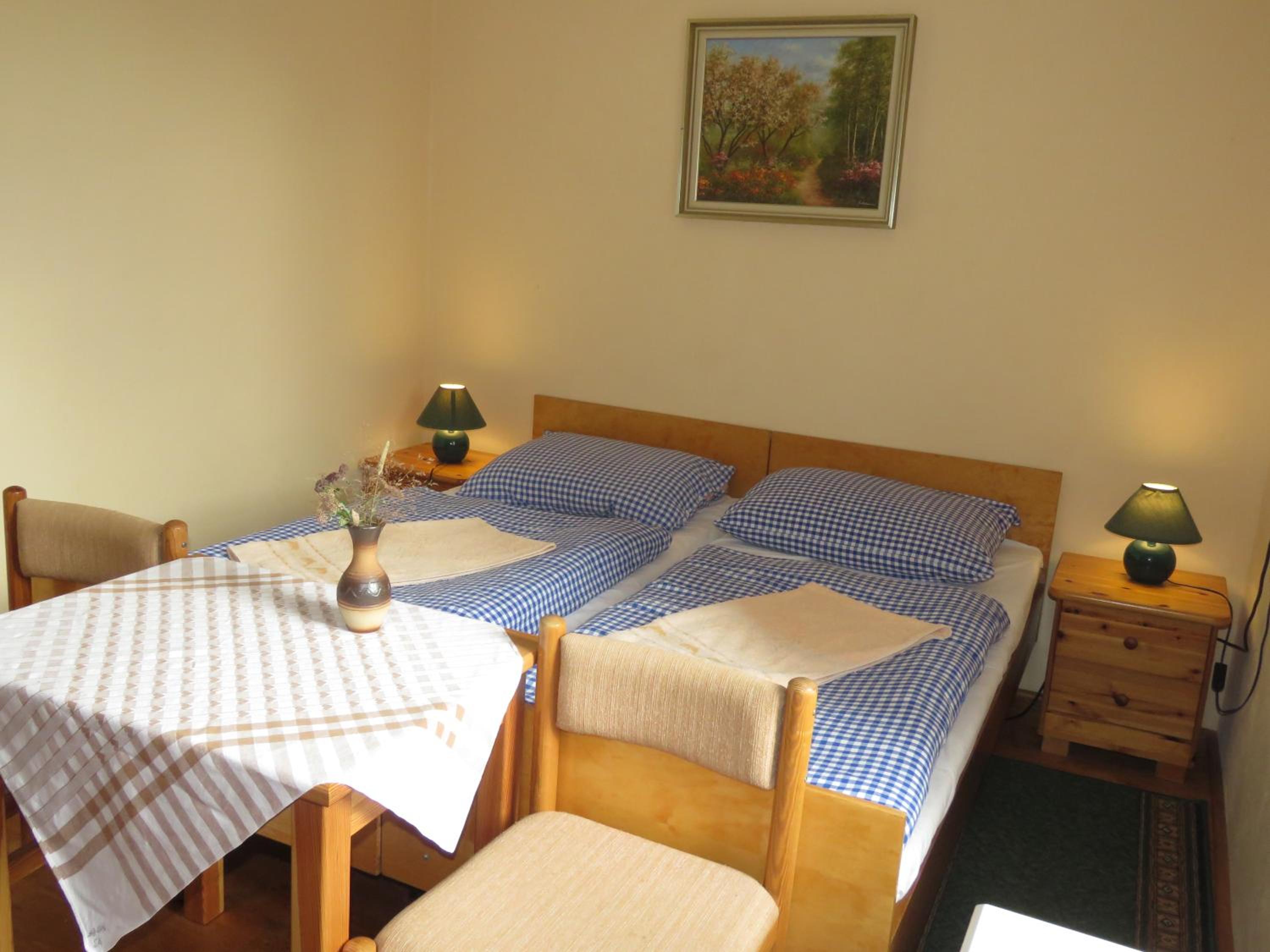 Double or Twin Room photo 1