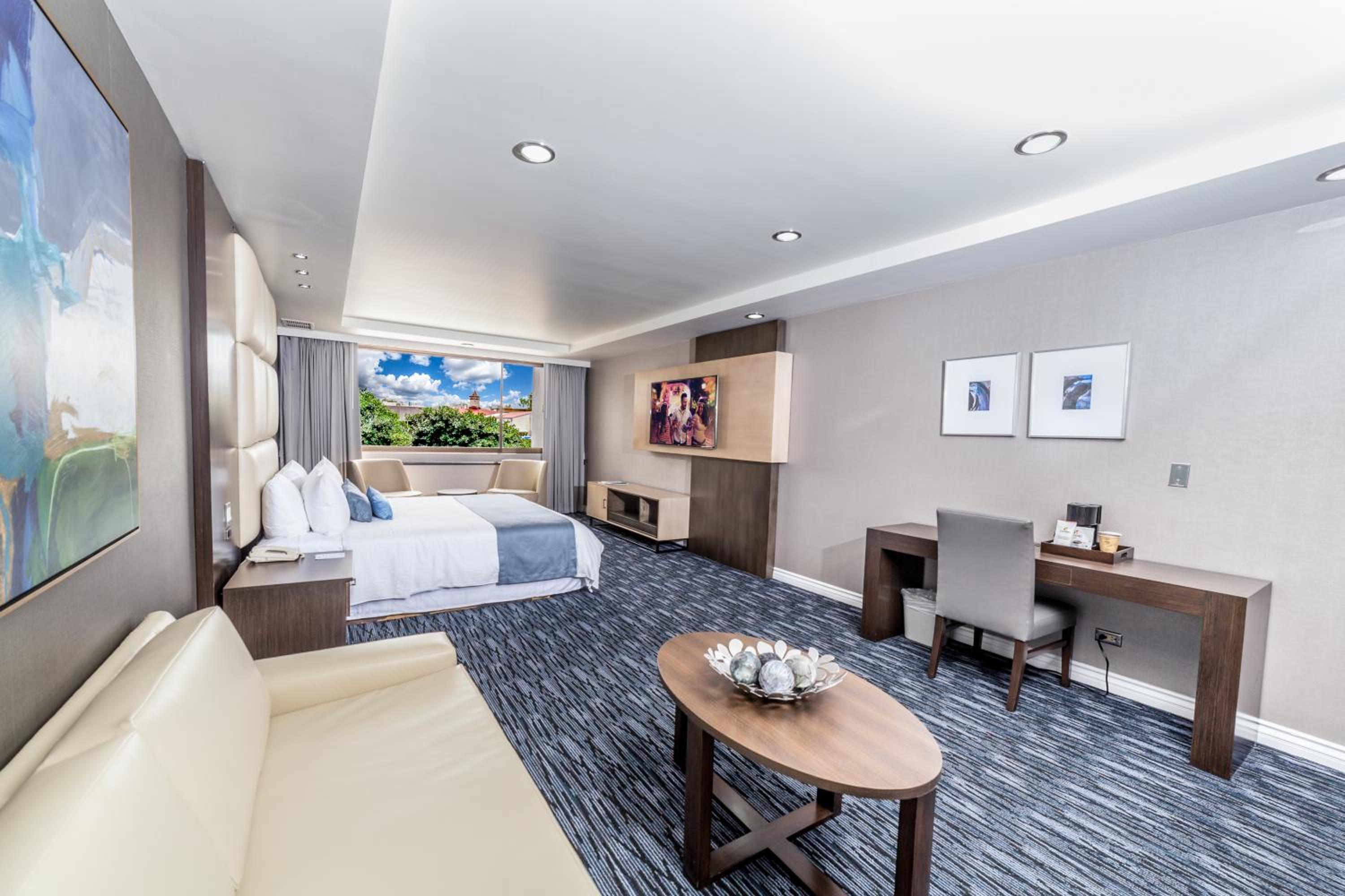 Junior Suite - Photo 4