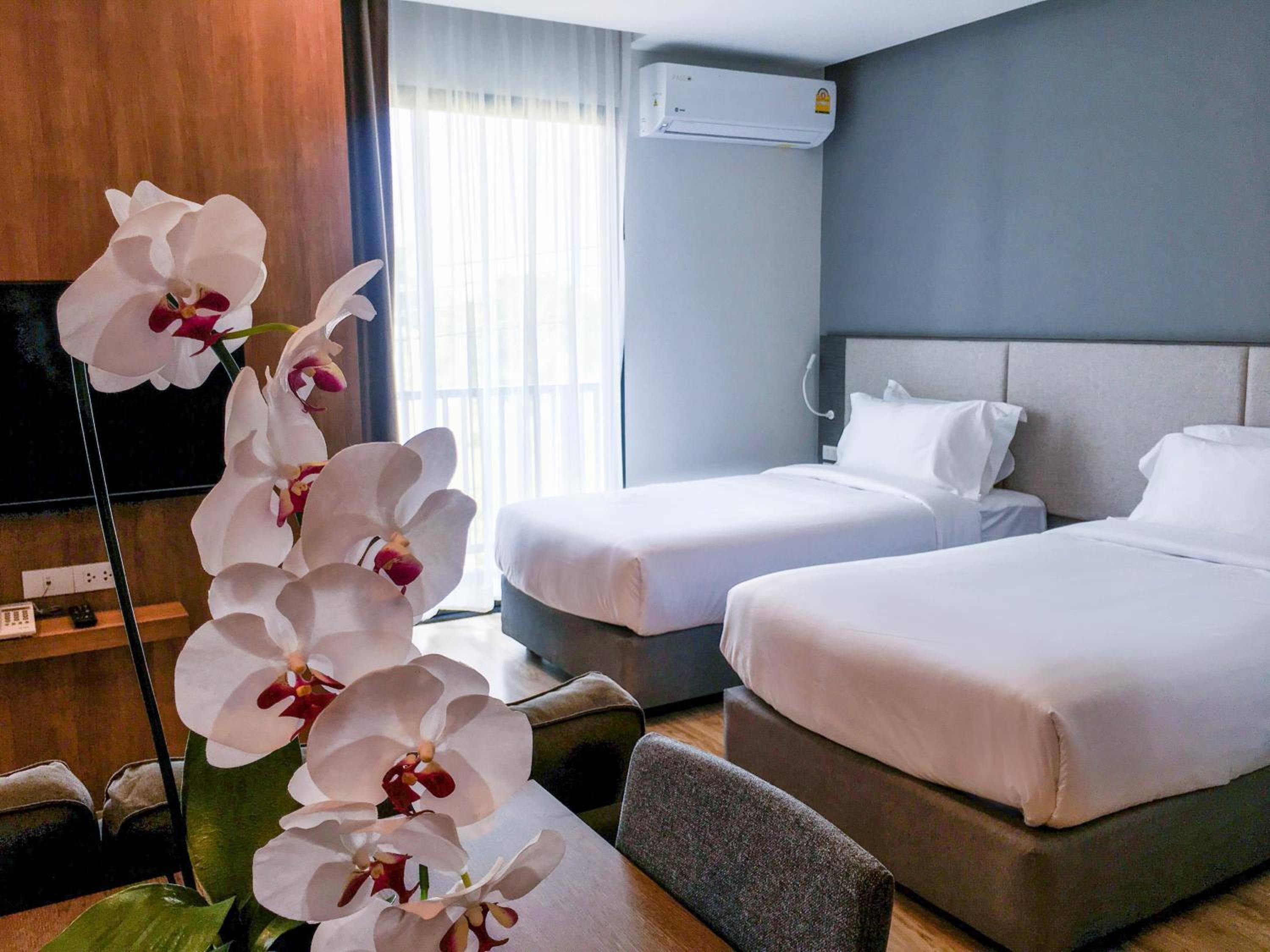 Family Suite - Photo 14