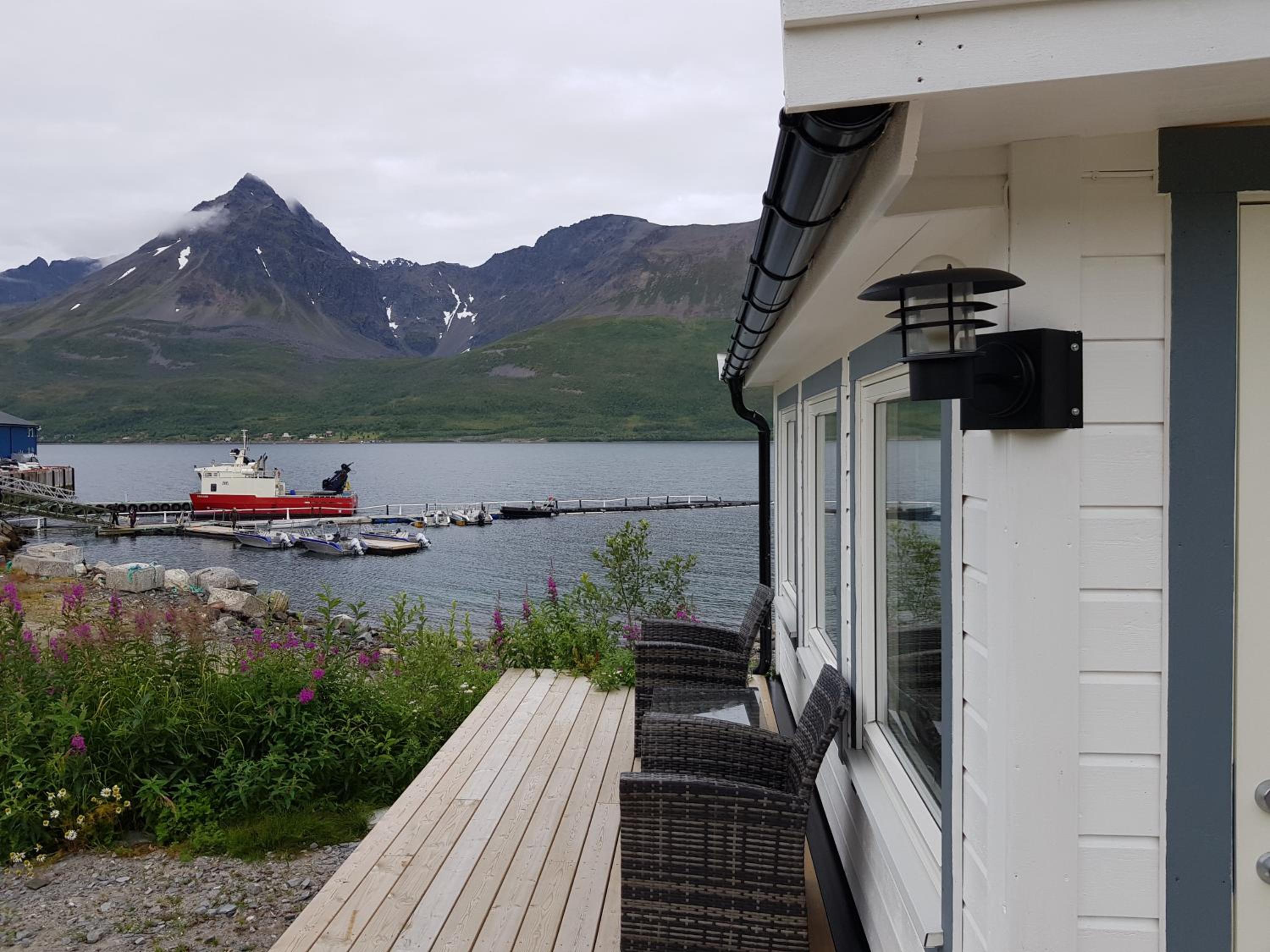Mobile Home - Photo 4