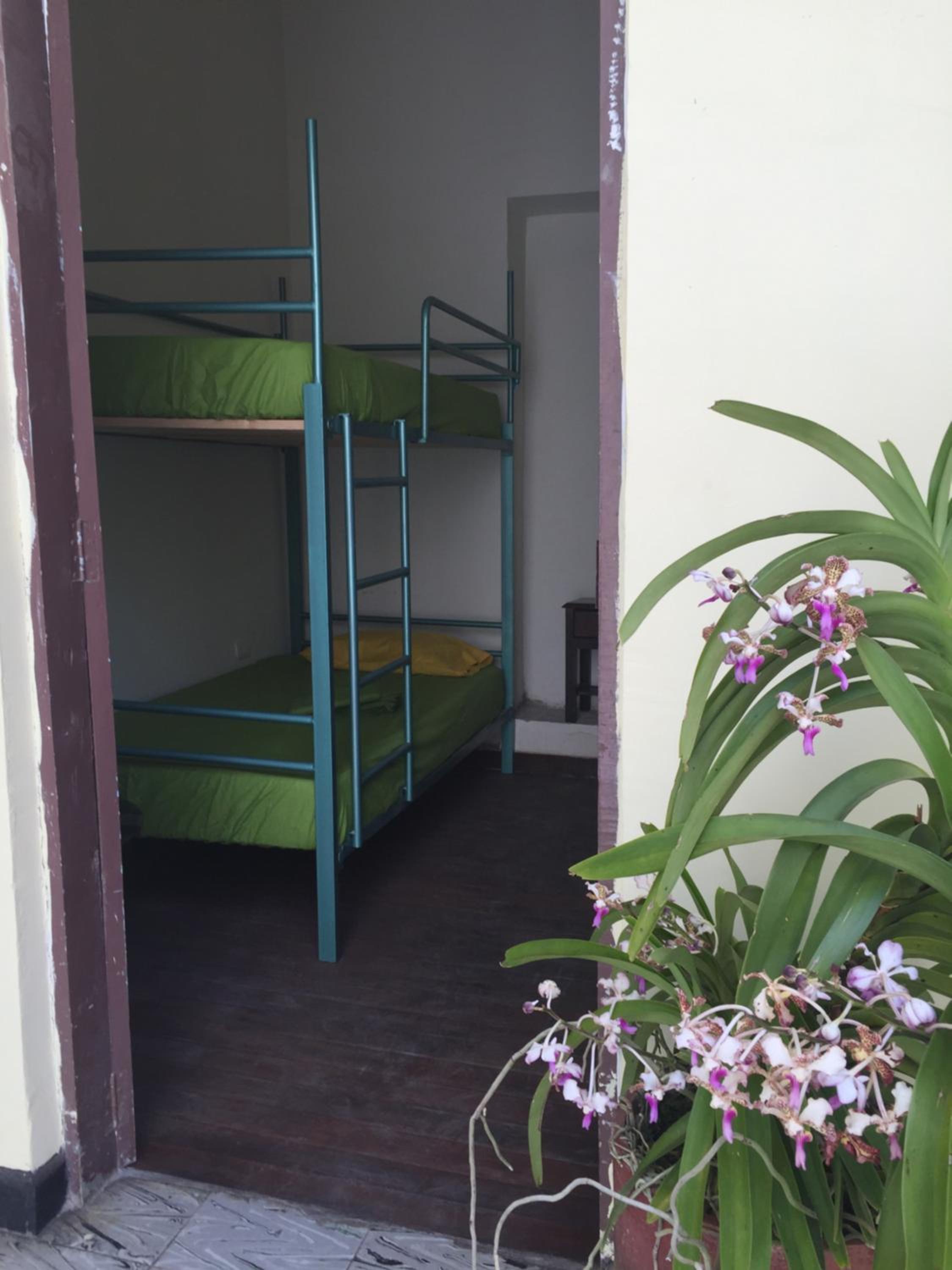 Bed in 4-Bed Dormitory Room photo 1