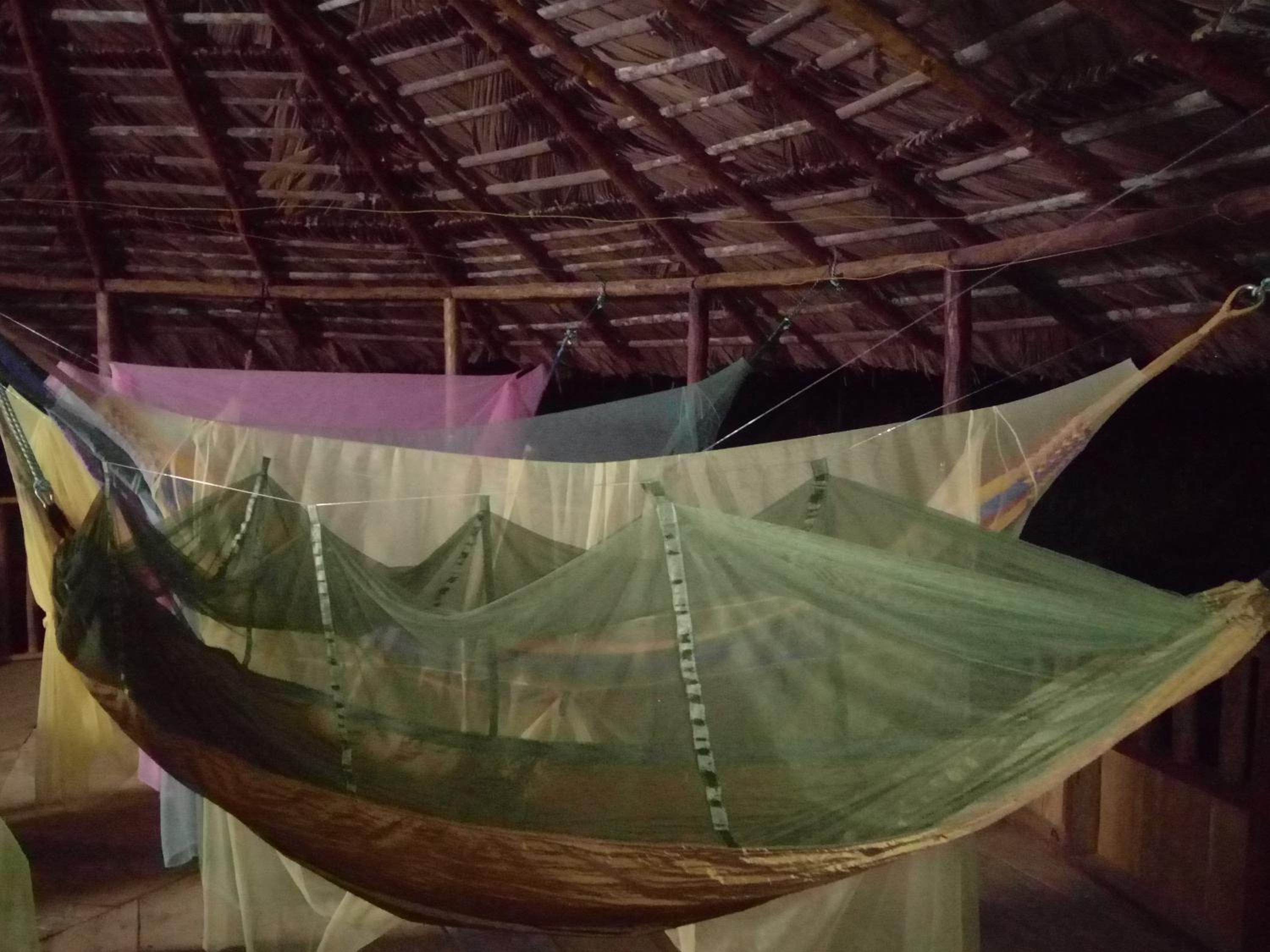 Hammock photo 2