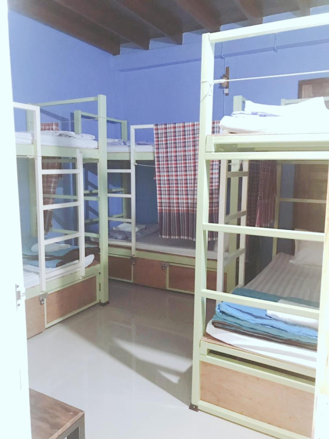 Bunk Bed in Mixed Dormitory Room photo 2
