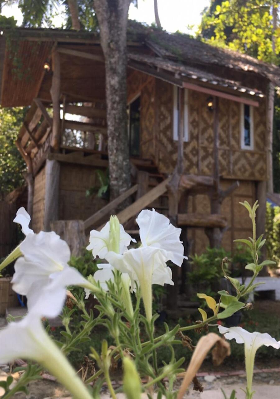 Chalet - Photo 8