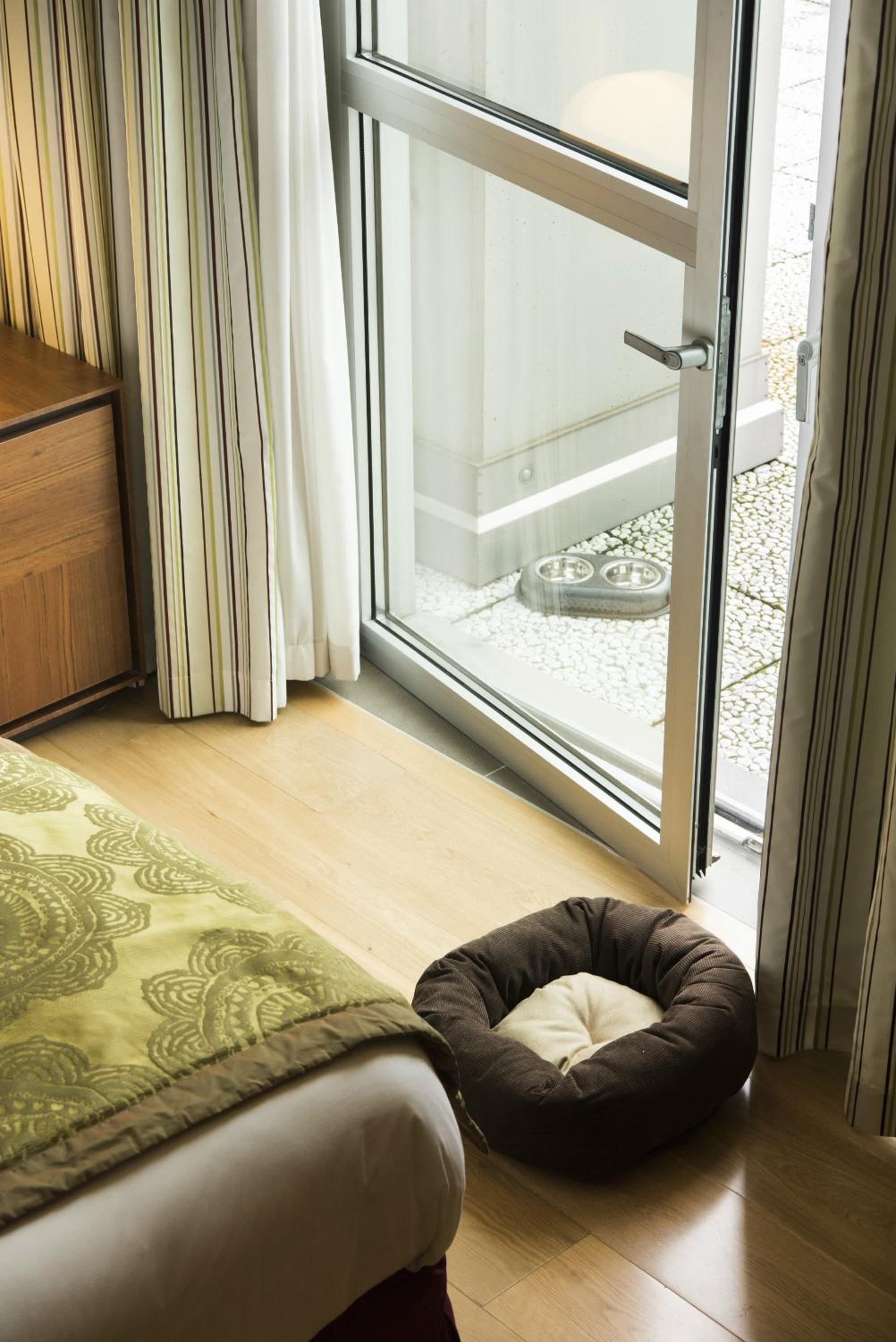 Classic King Room - Photo 3