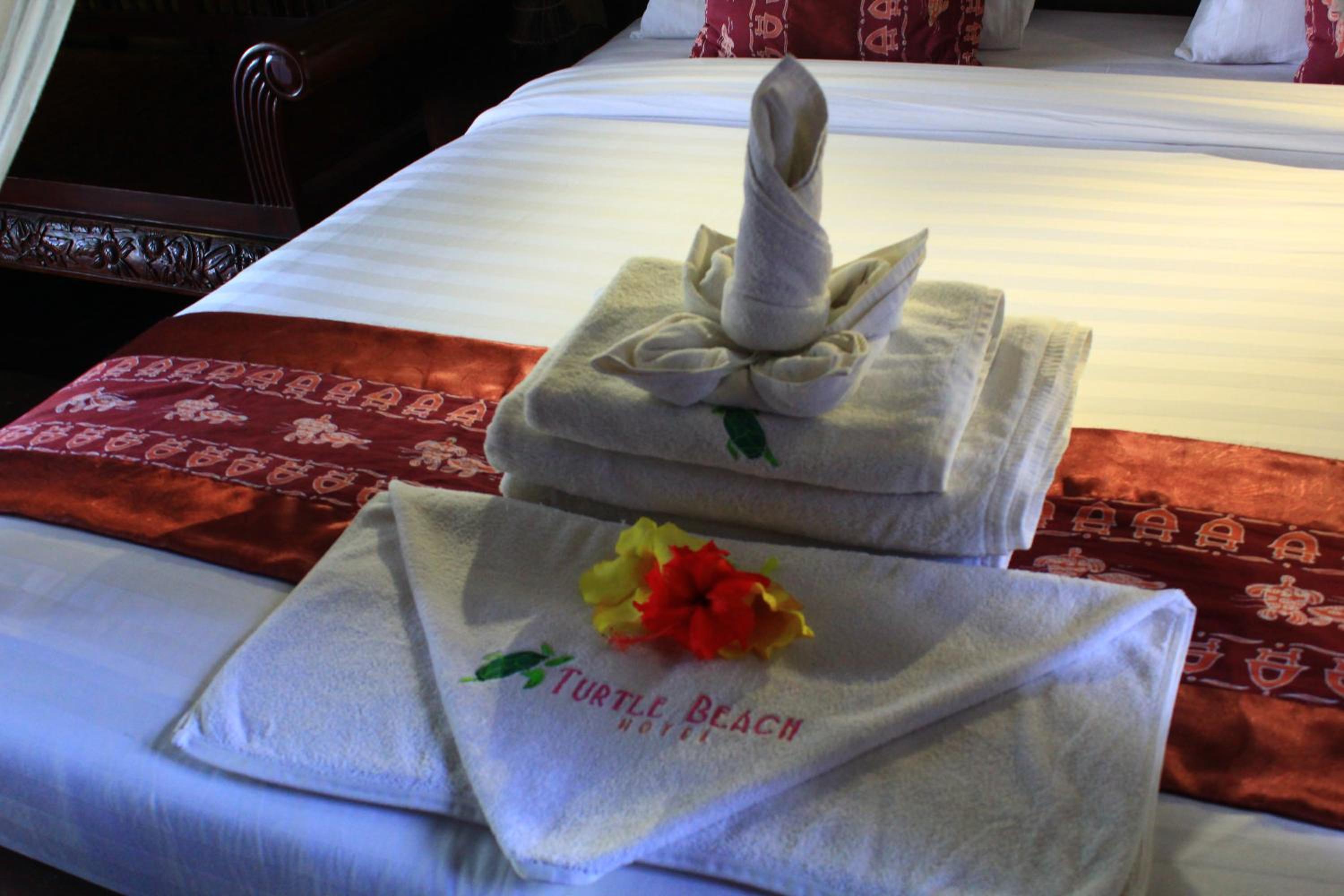 Suite - Photo 1