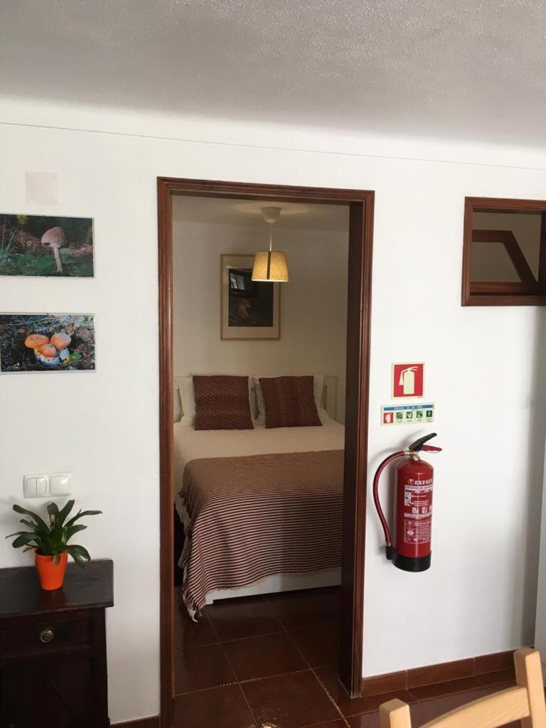 One-Bedroom Apartment - Photo 6