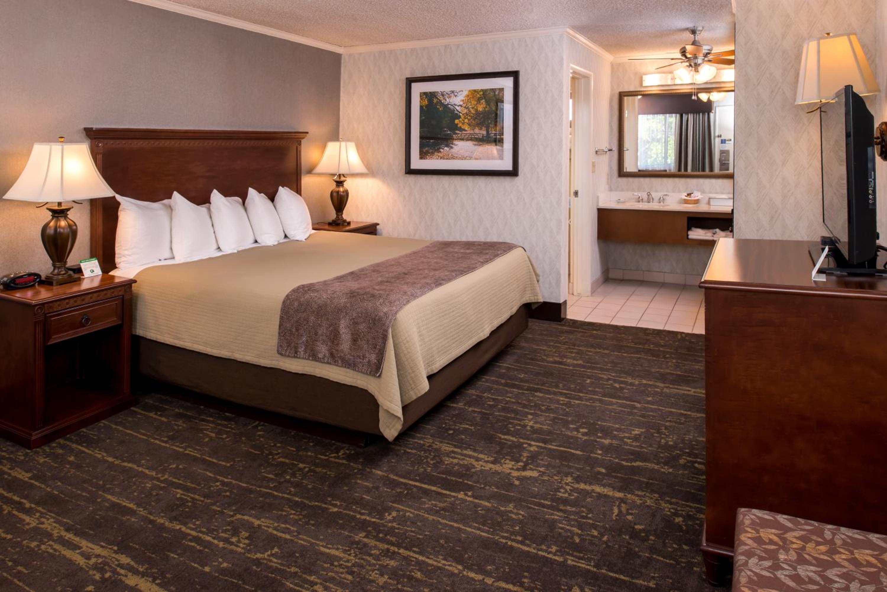 King Room - Non-Smoking - Photo 5