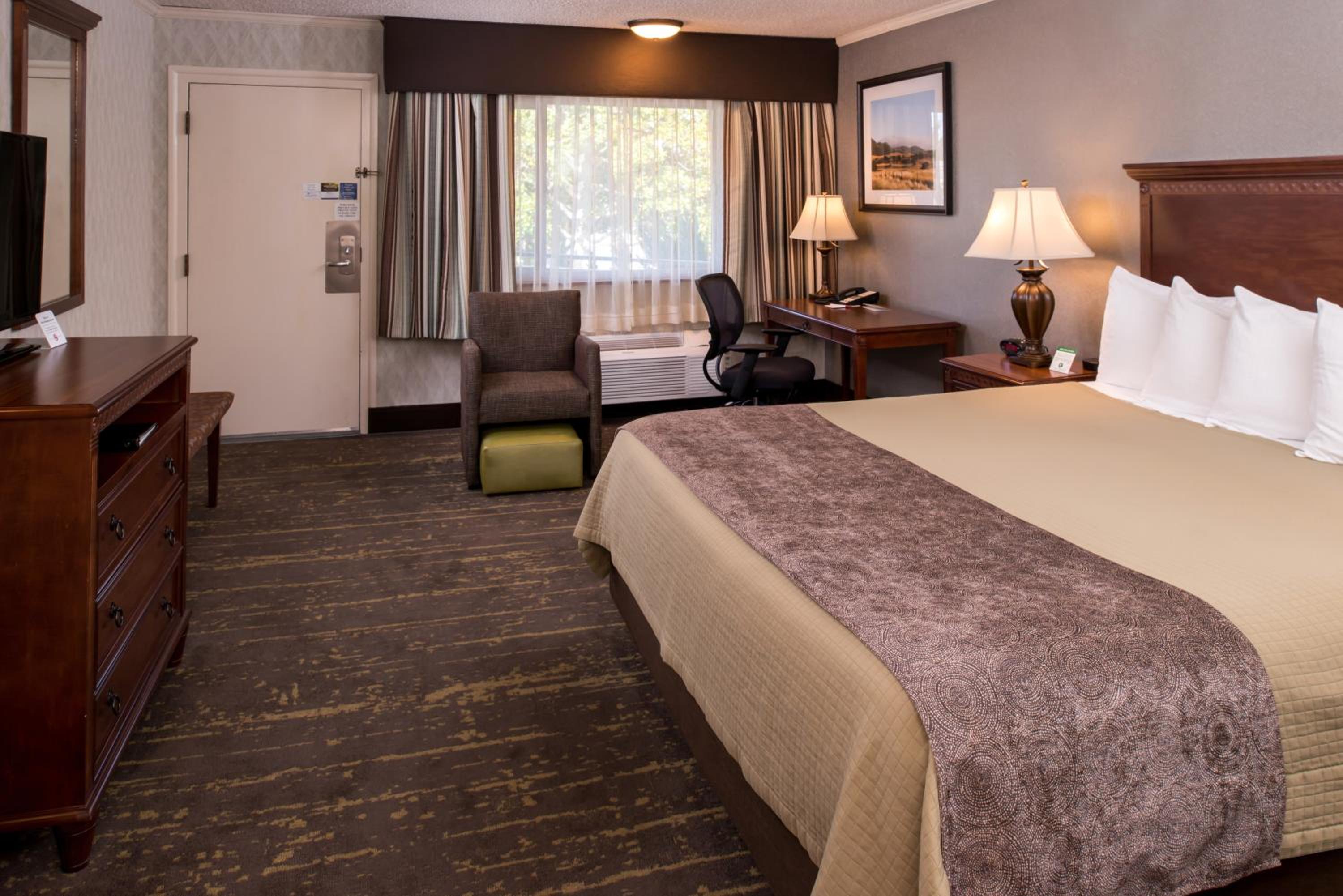 King Room - Non-Smoking - Photo 6