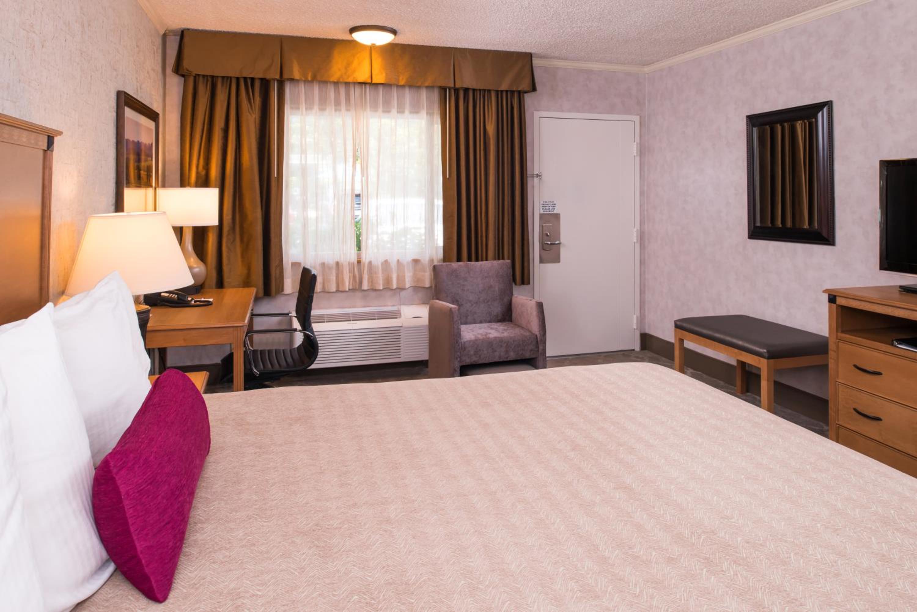 King Room - Non-Smoking - Photo 4