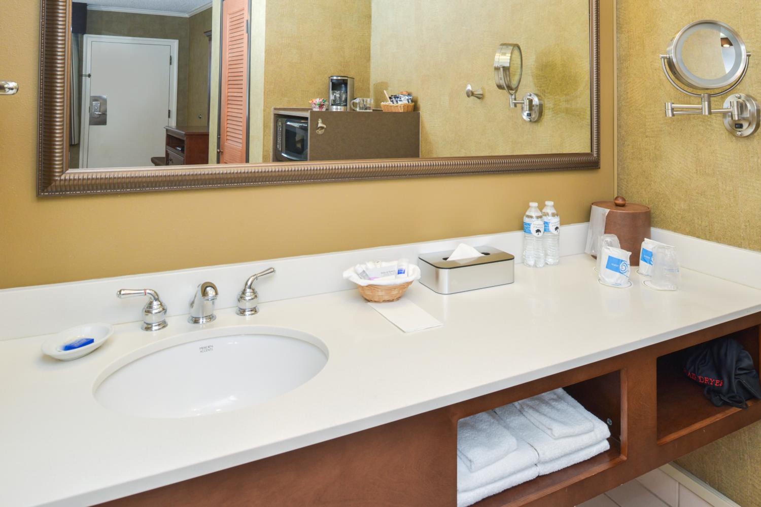 King Room with Roll In Shower-Disability Access - Photo 3