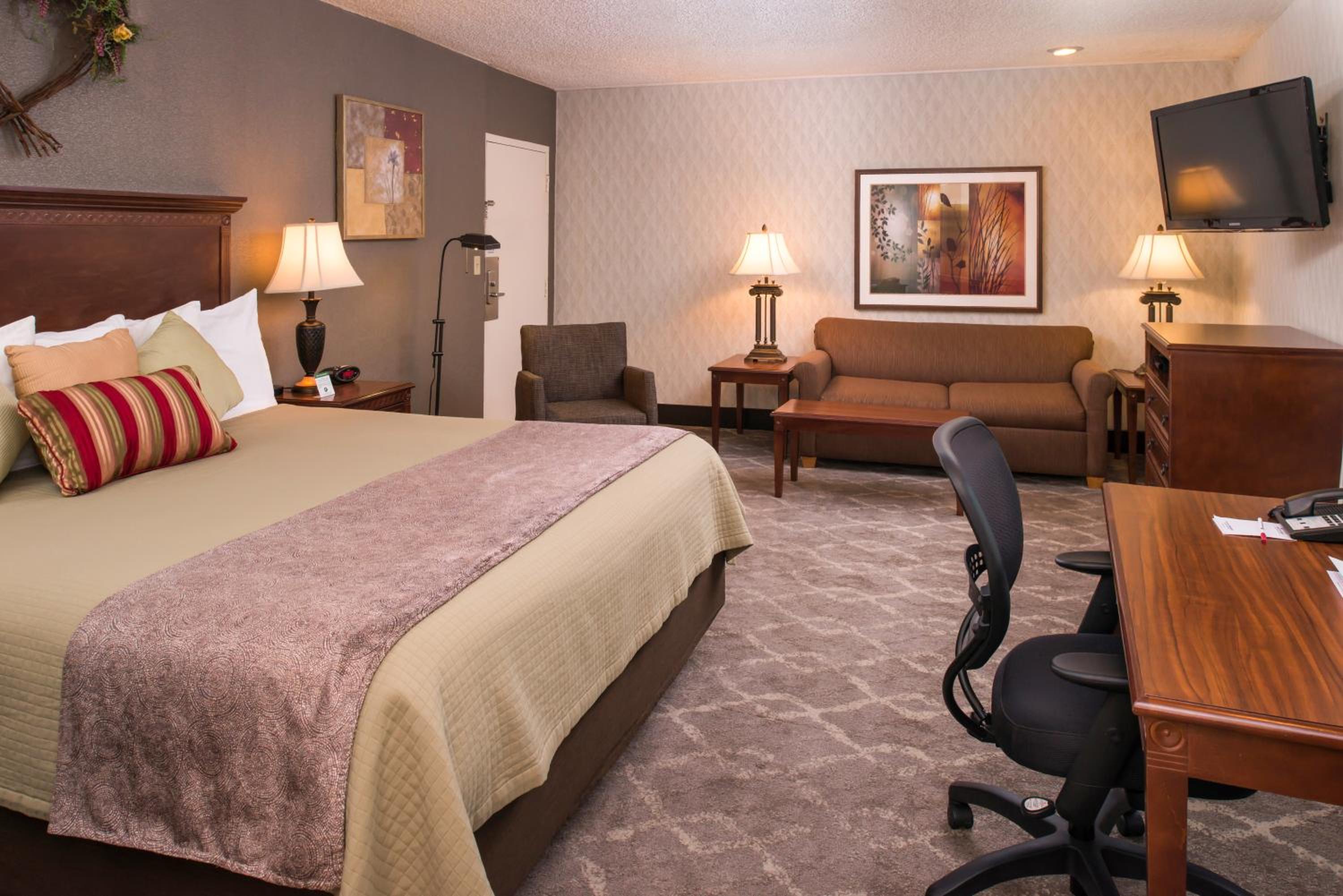 Large King Room with Sofa Bed - Non-Smoking - Photo 5