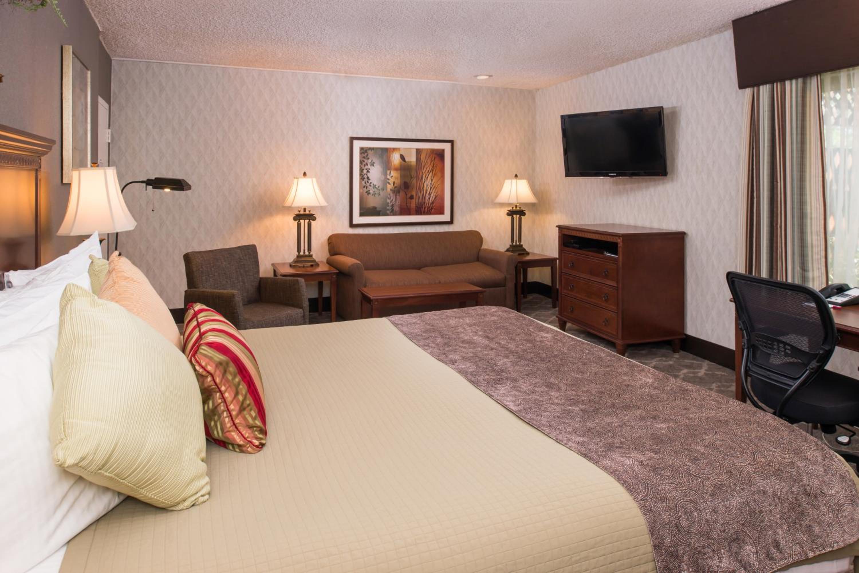 Large King Room with Sofa Bed - Non-Smoking - Photo 3