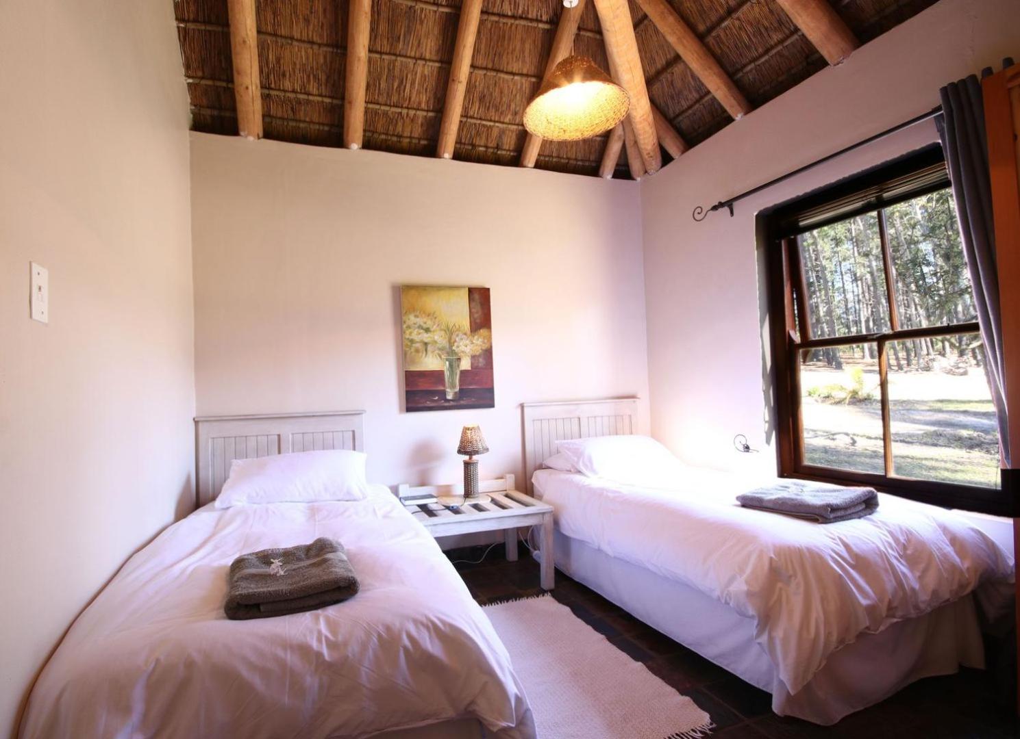 Comfort Chalet photo 3