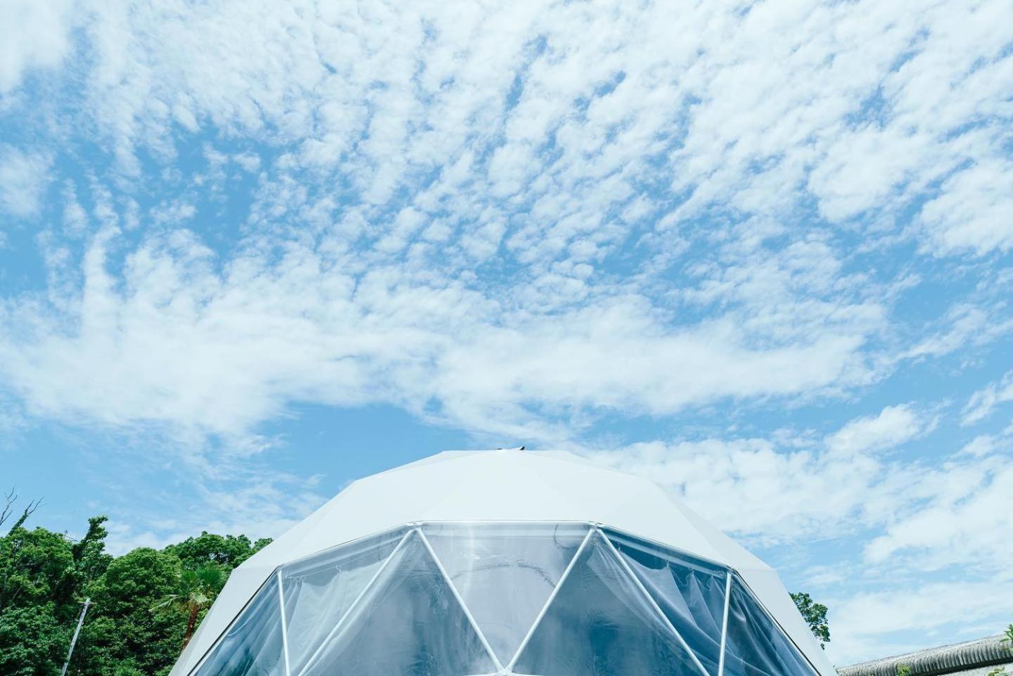 Tent with Forest View photo 2