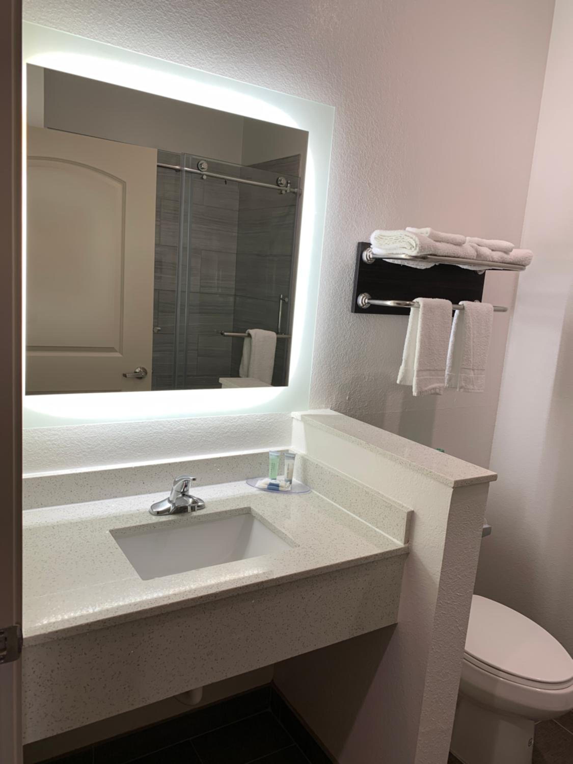 Deluxe King Suite - Photo 4