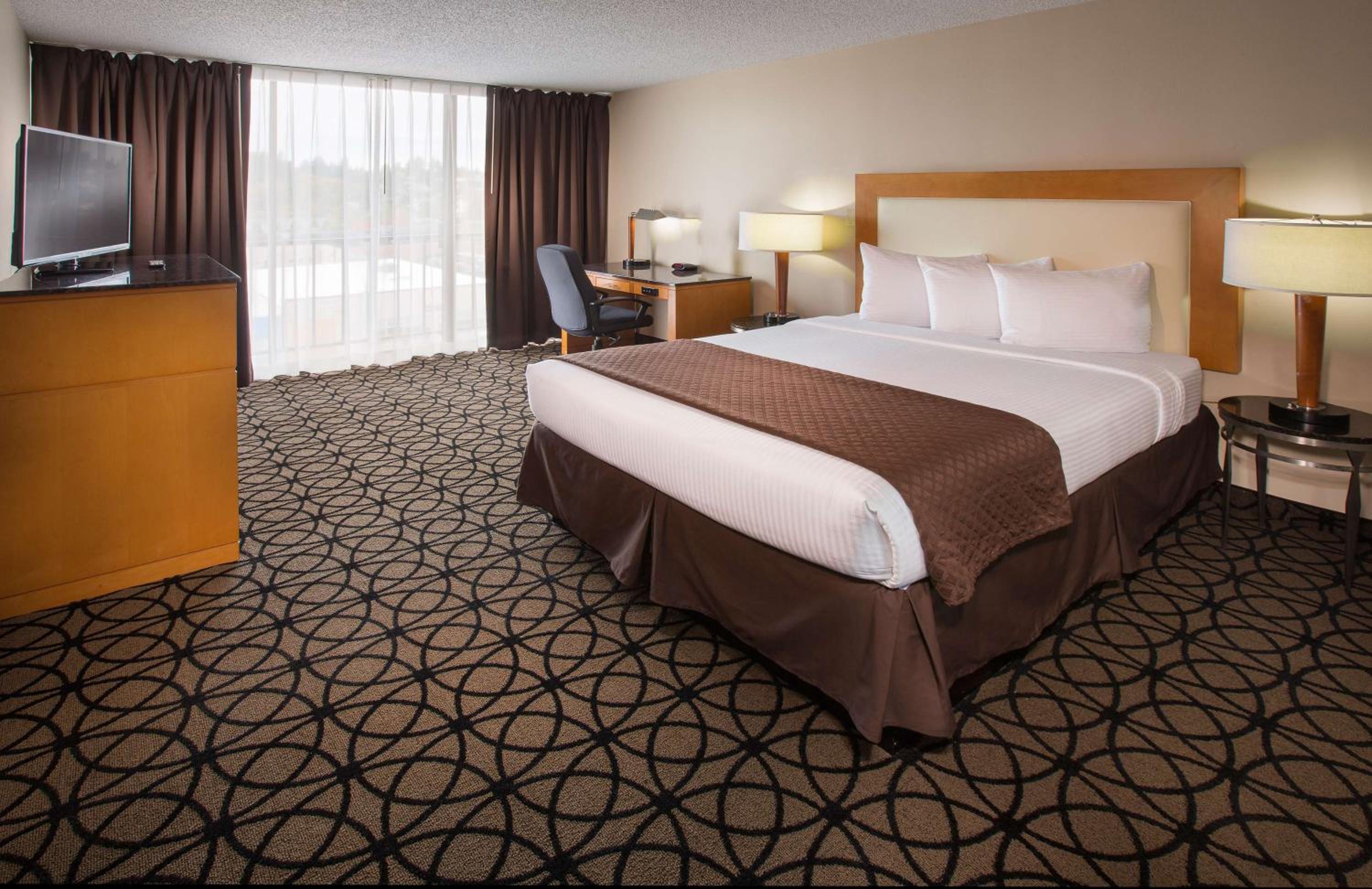 King Room photo 1
