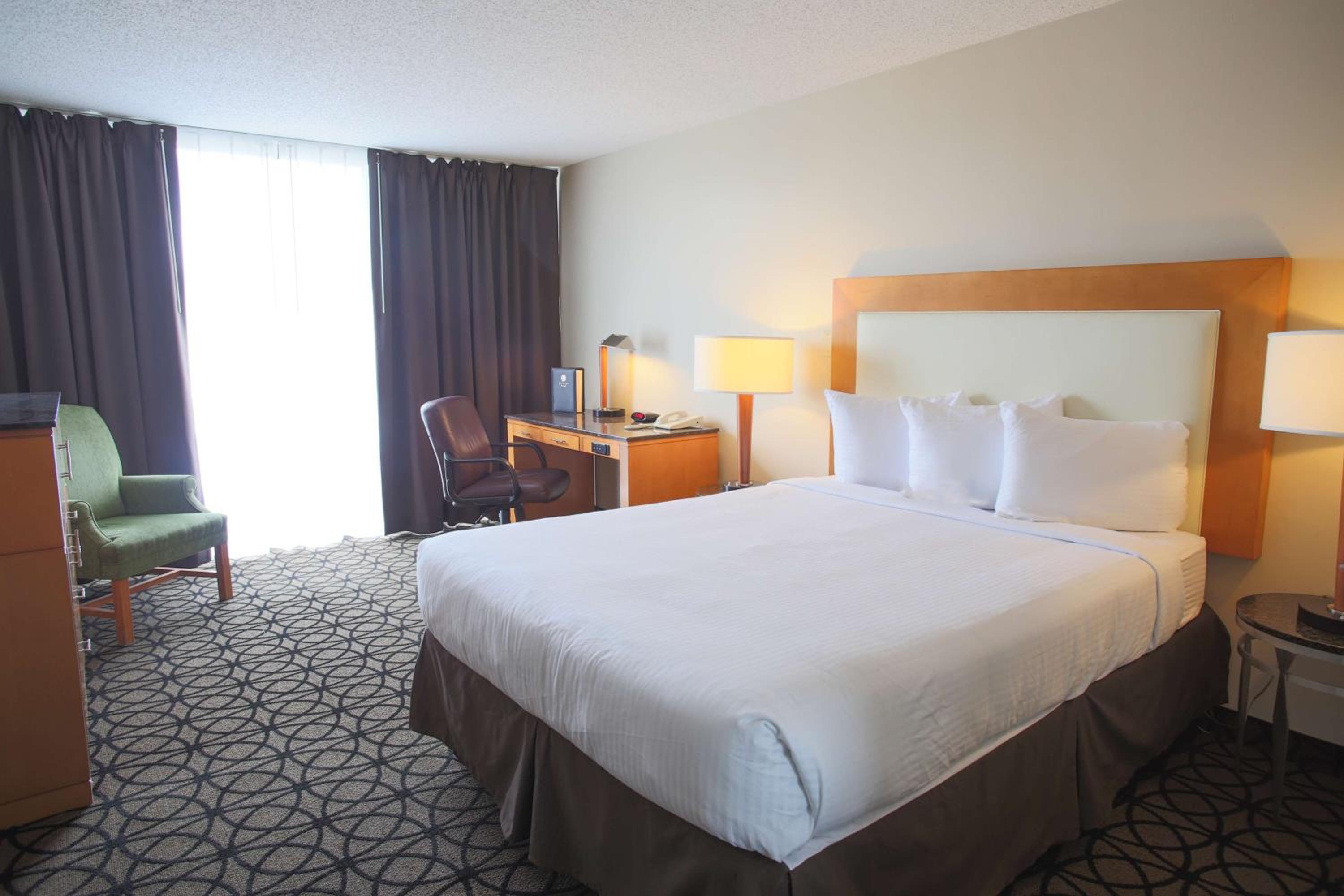 Premium King Room photo 1