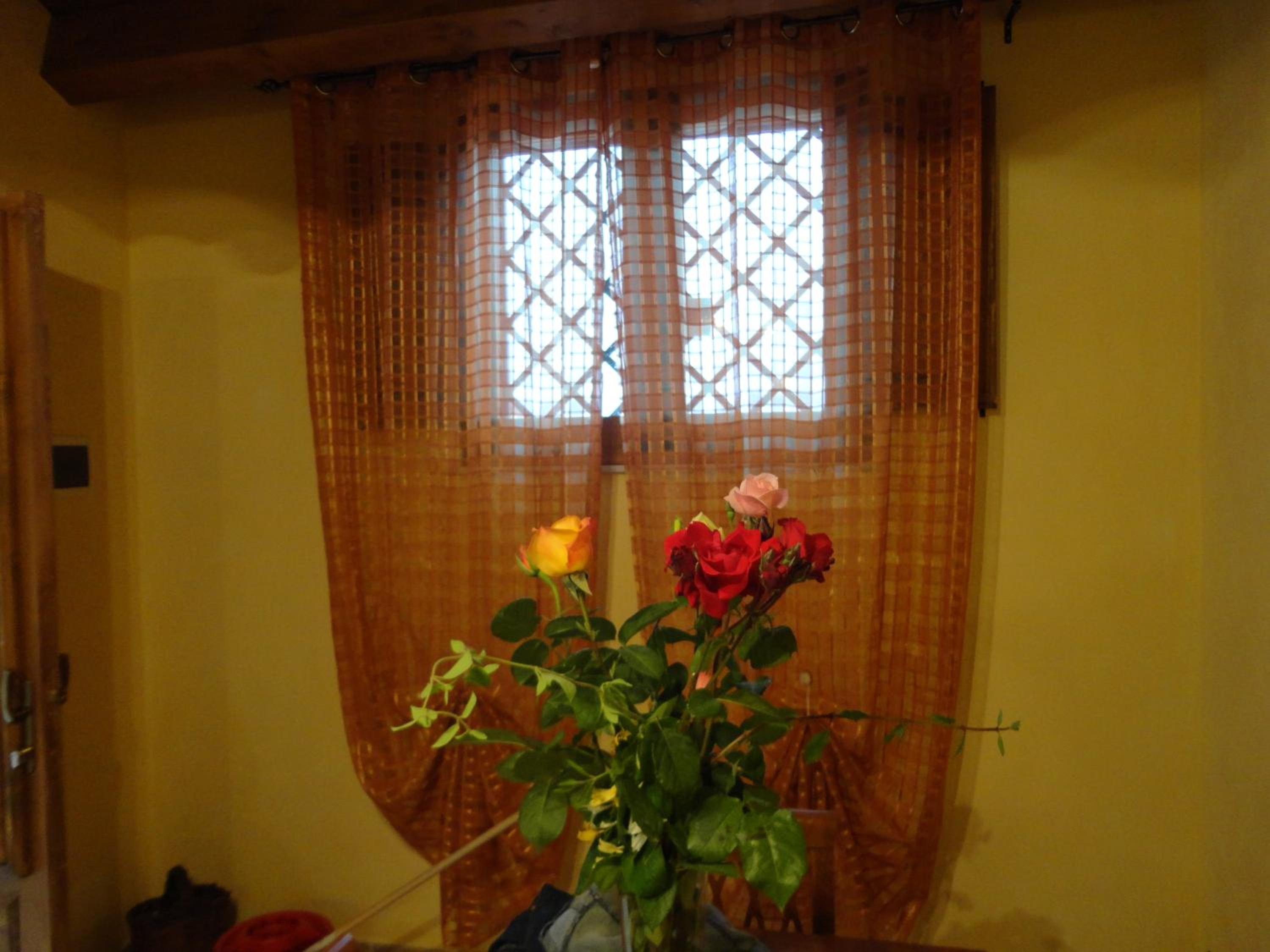 Deluxe Studio - Photo 3