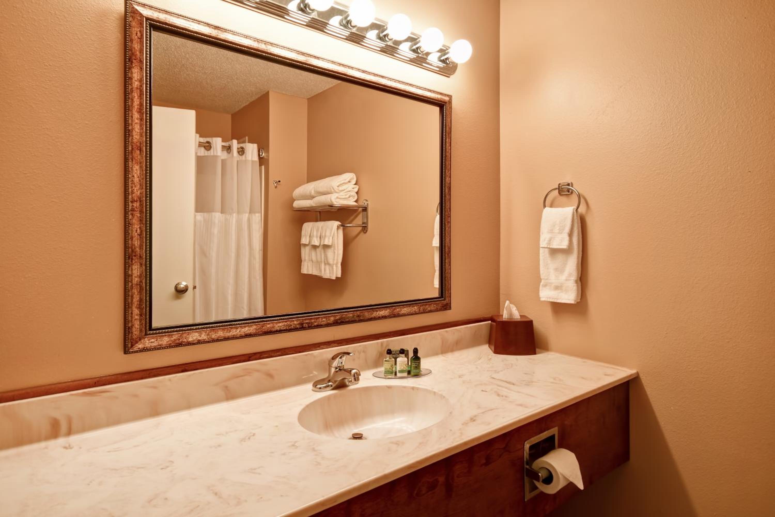 Suite - Photo 2