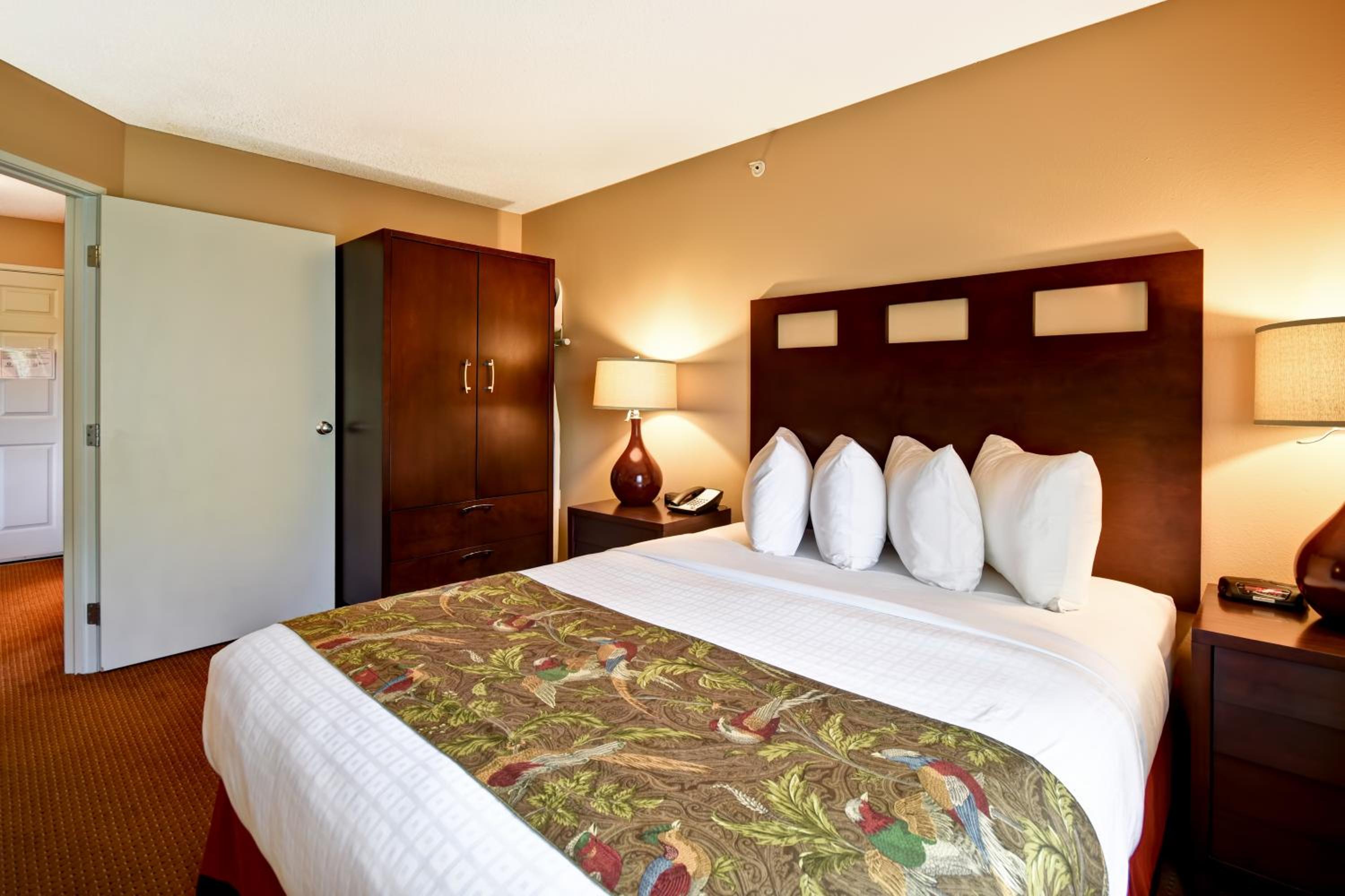 Suite - Photo 1