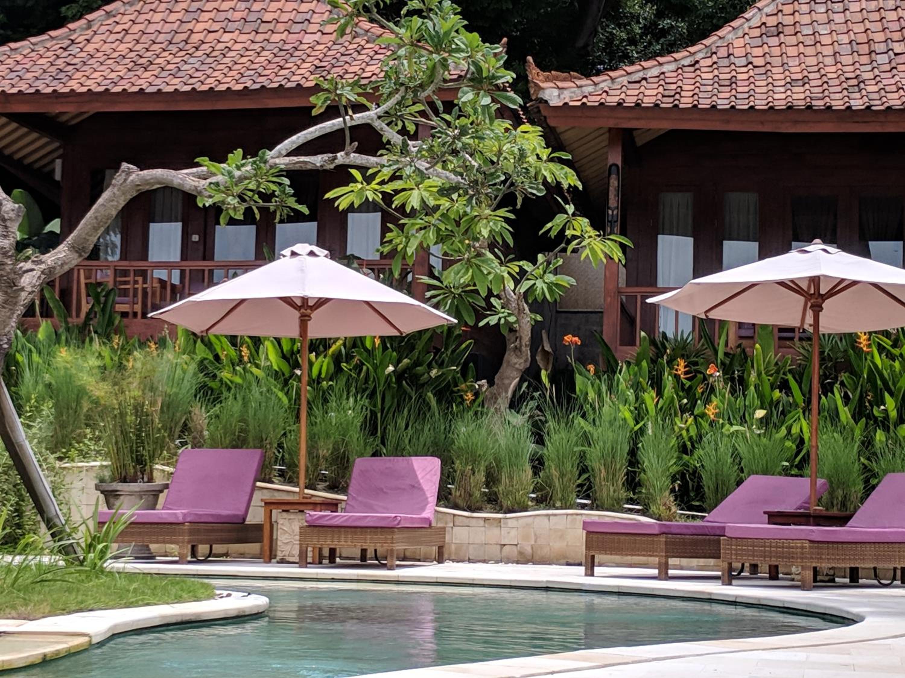 Junior Suite with Pool View photo 2