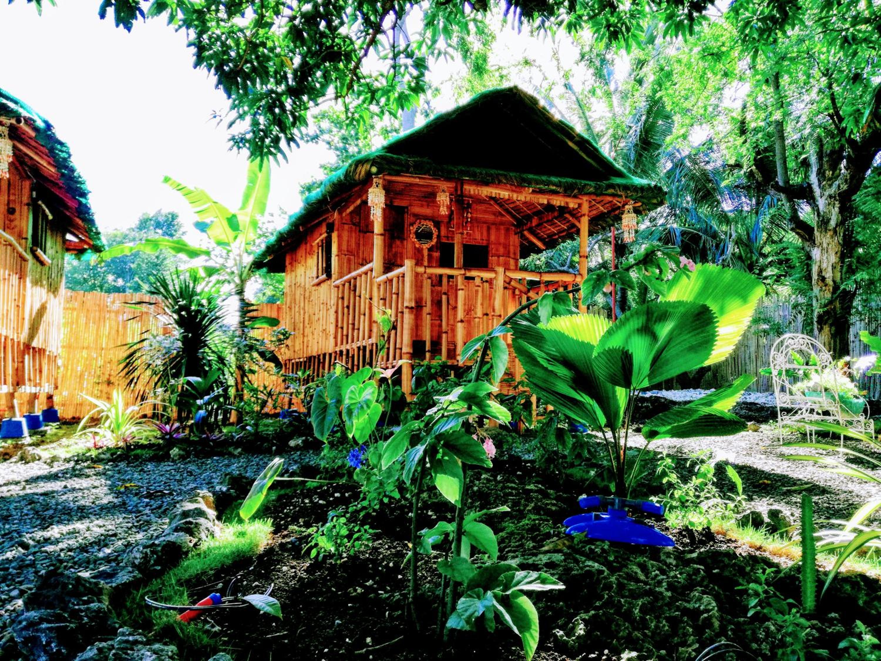 Queen Room with Shared Bathroom photo 3