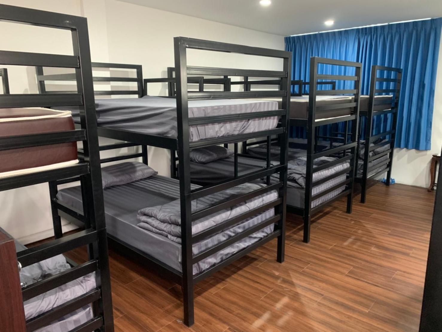 Bunk Bed in Mixed Dormitory Room photo 2