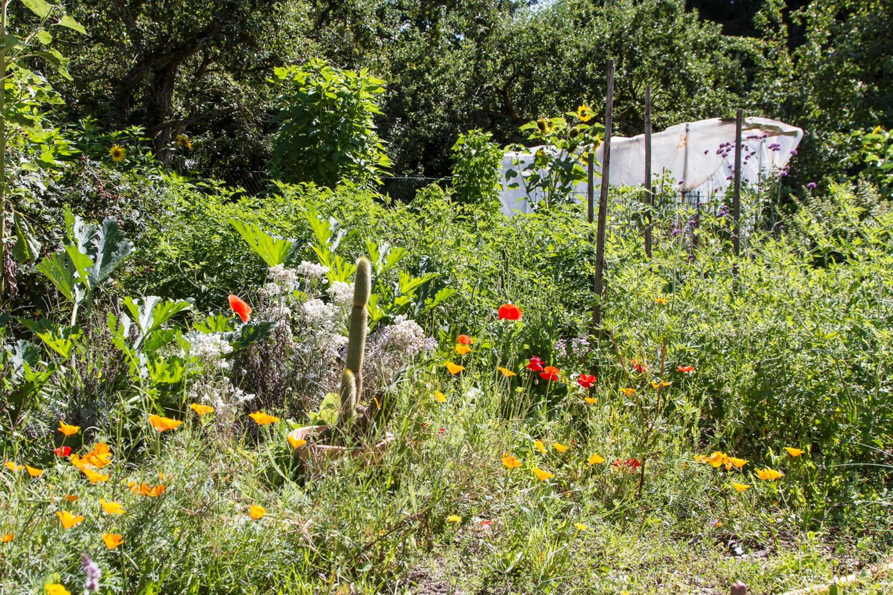 Triple Room with Garden View photo 2