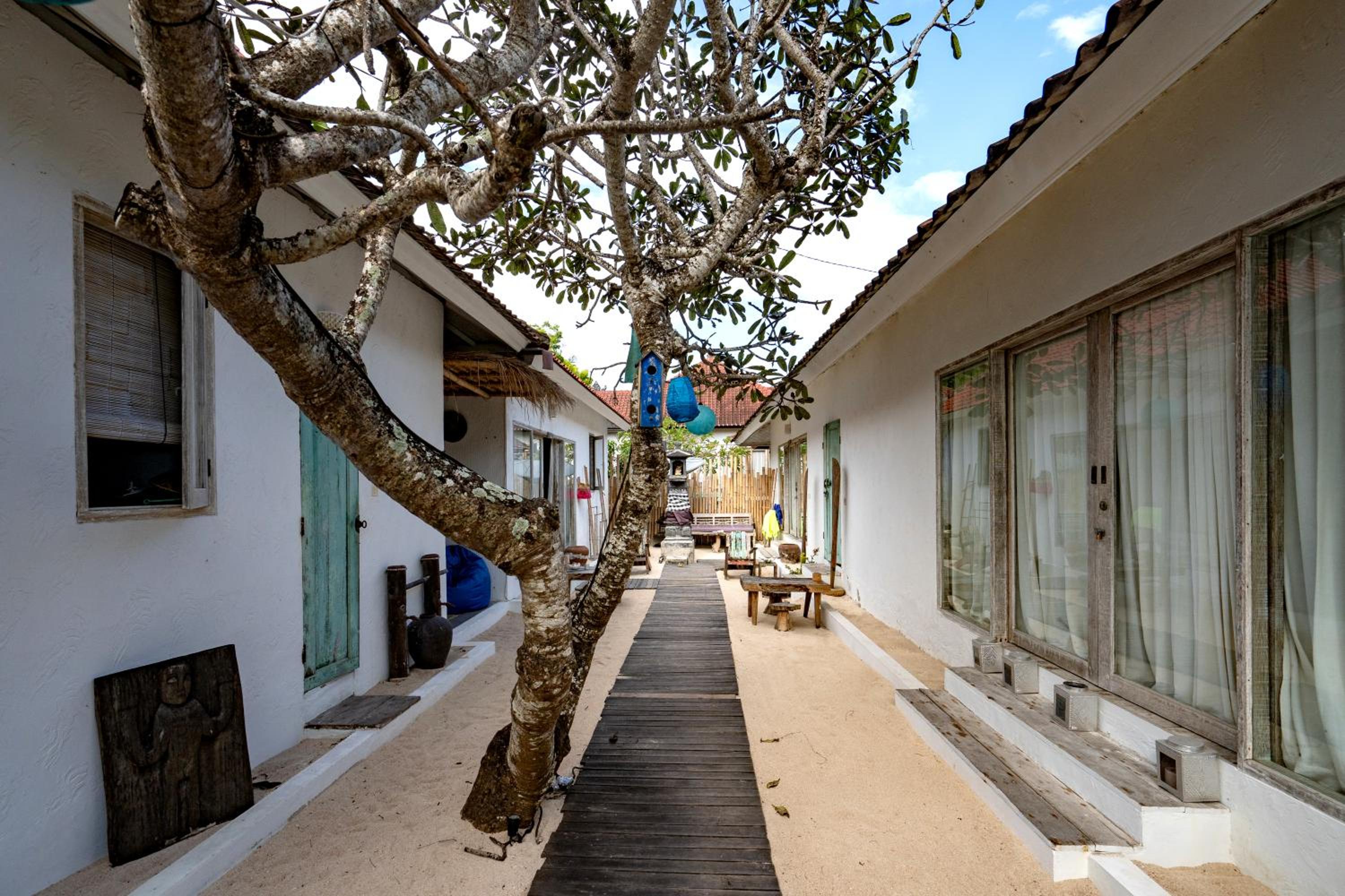 Four Bedroom Villa - Beach Front photo 2