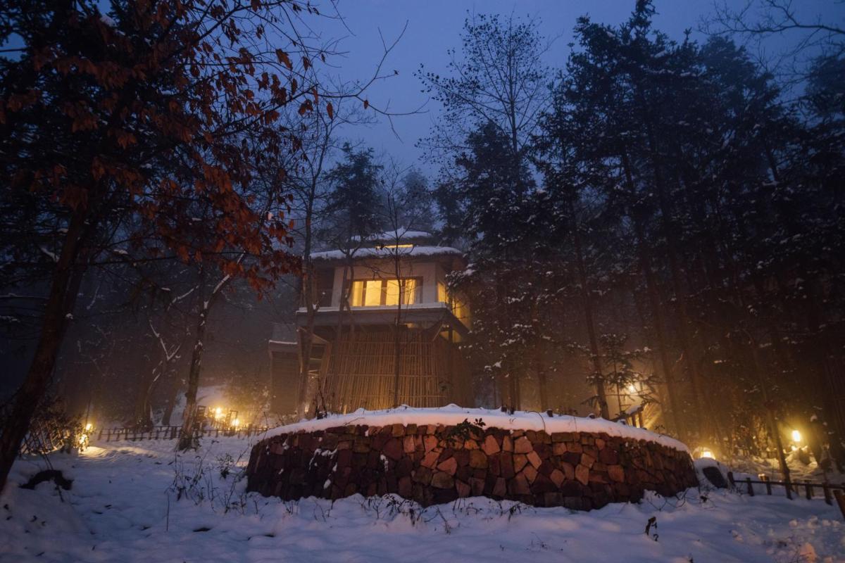 Glass Tree House King Room photo 3