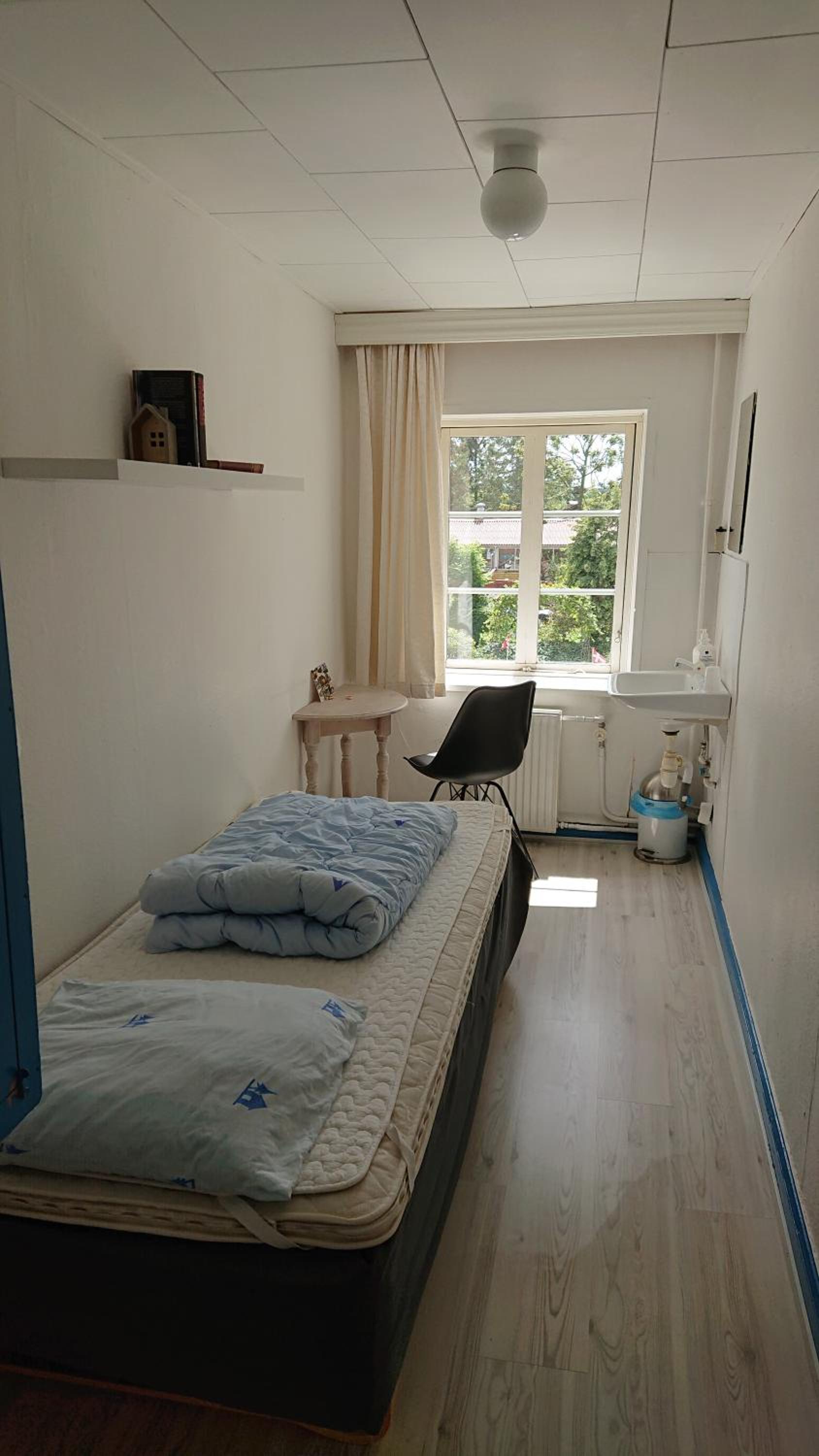 Single Room photo 1