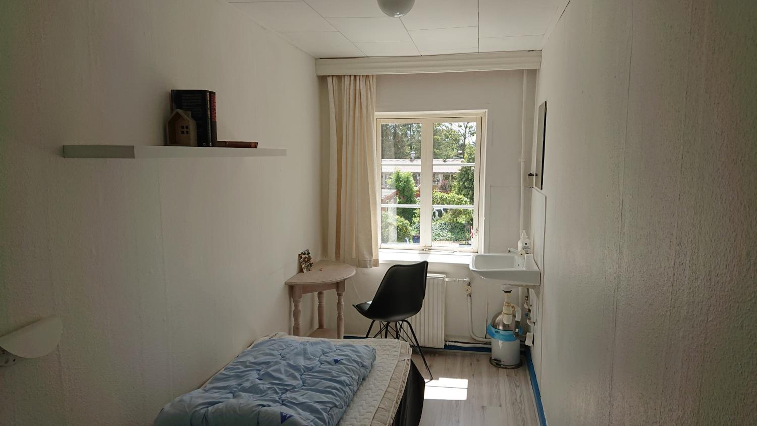 Single Room photo 2