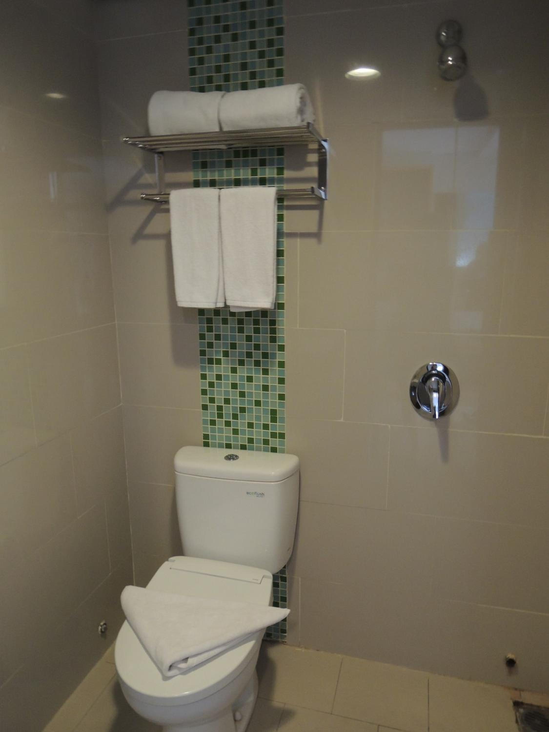 Deluxe Double or Twin Room photo 2