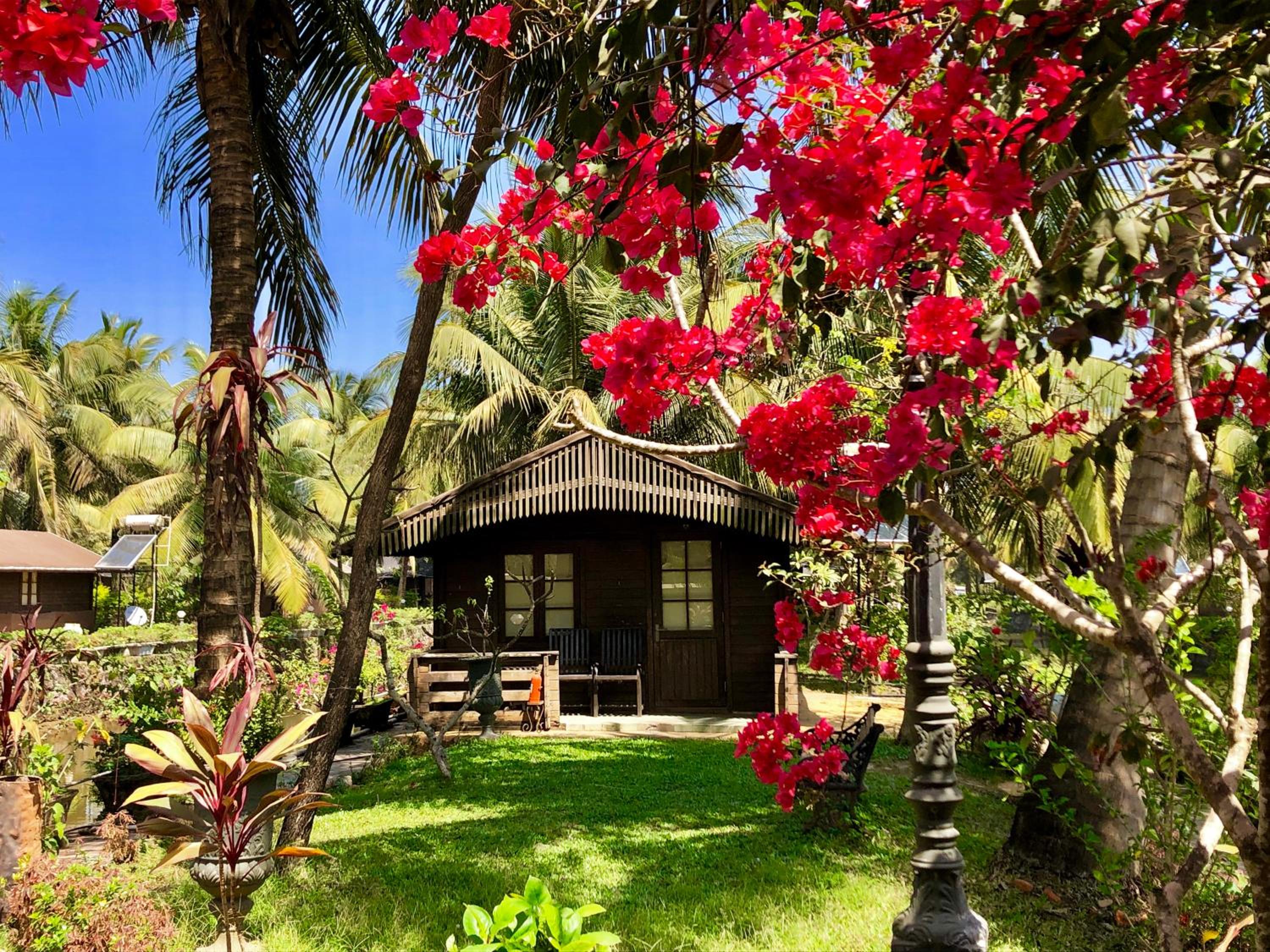 Standard Wooden Cottage - Photo 6