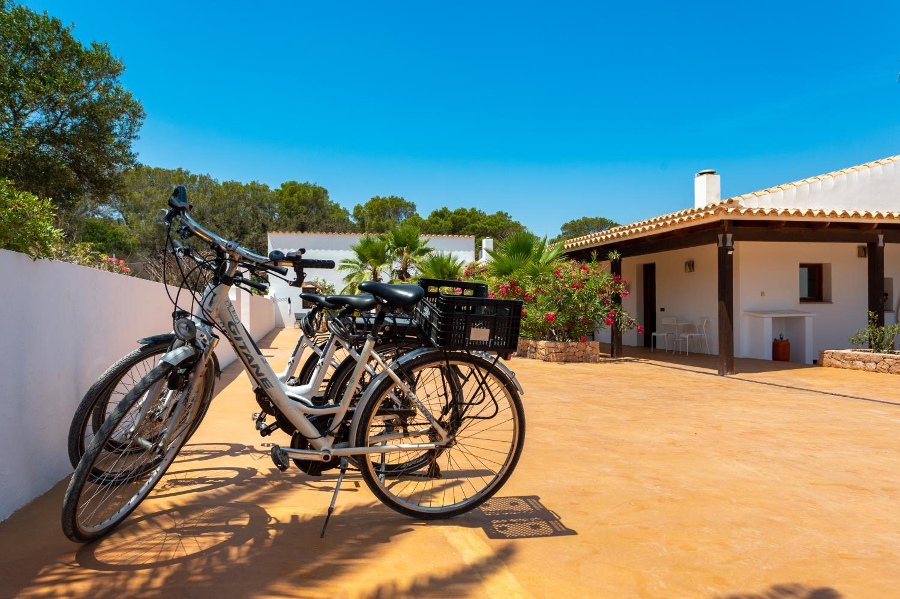 Es Pas Formentera Agroturismo, Billede 12